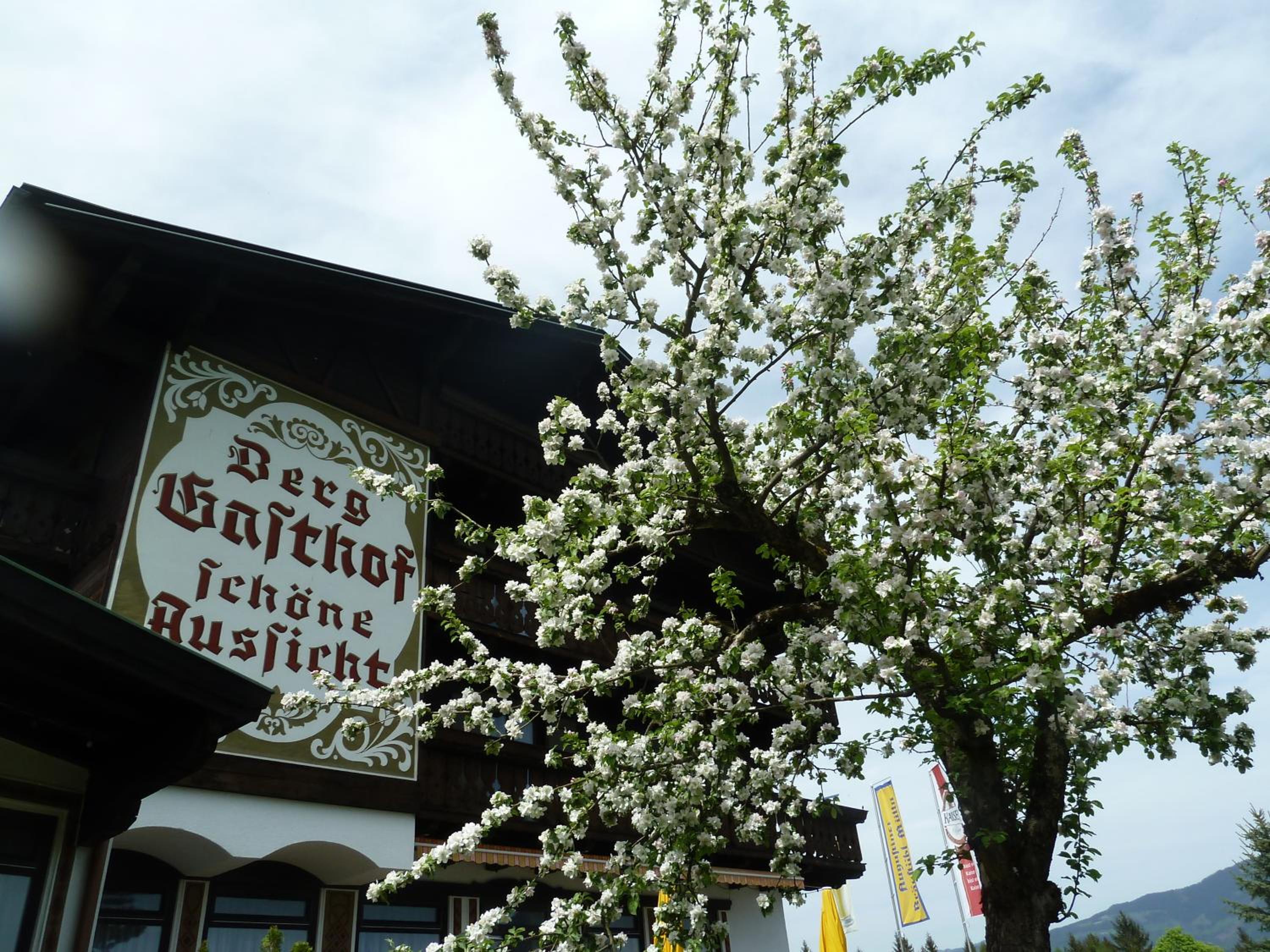 Pension Schöne Aussicht