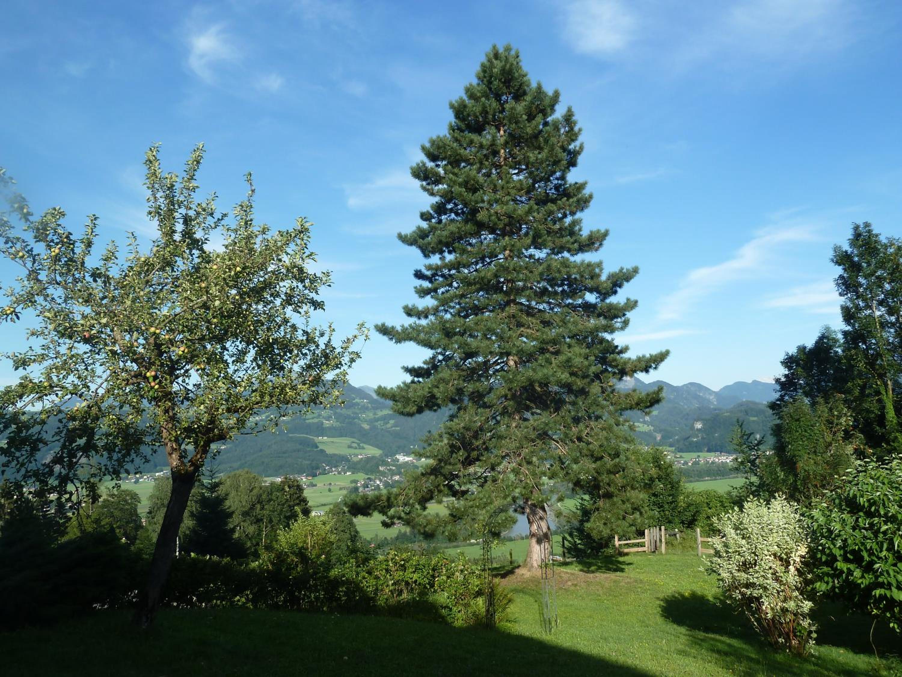 Pension Schöne Aussicht