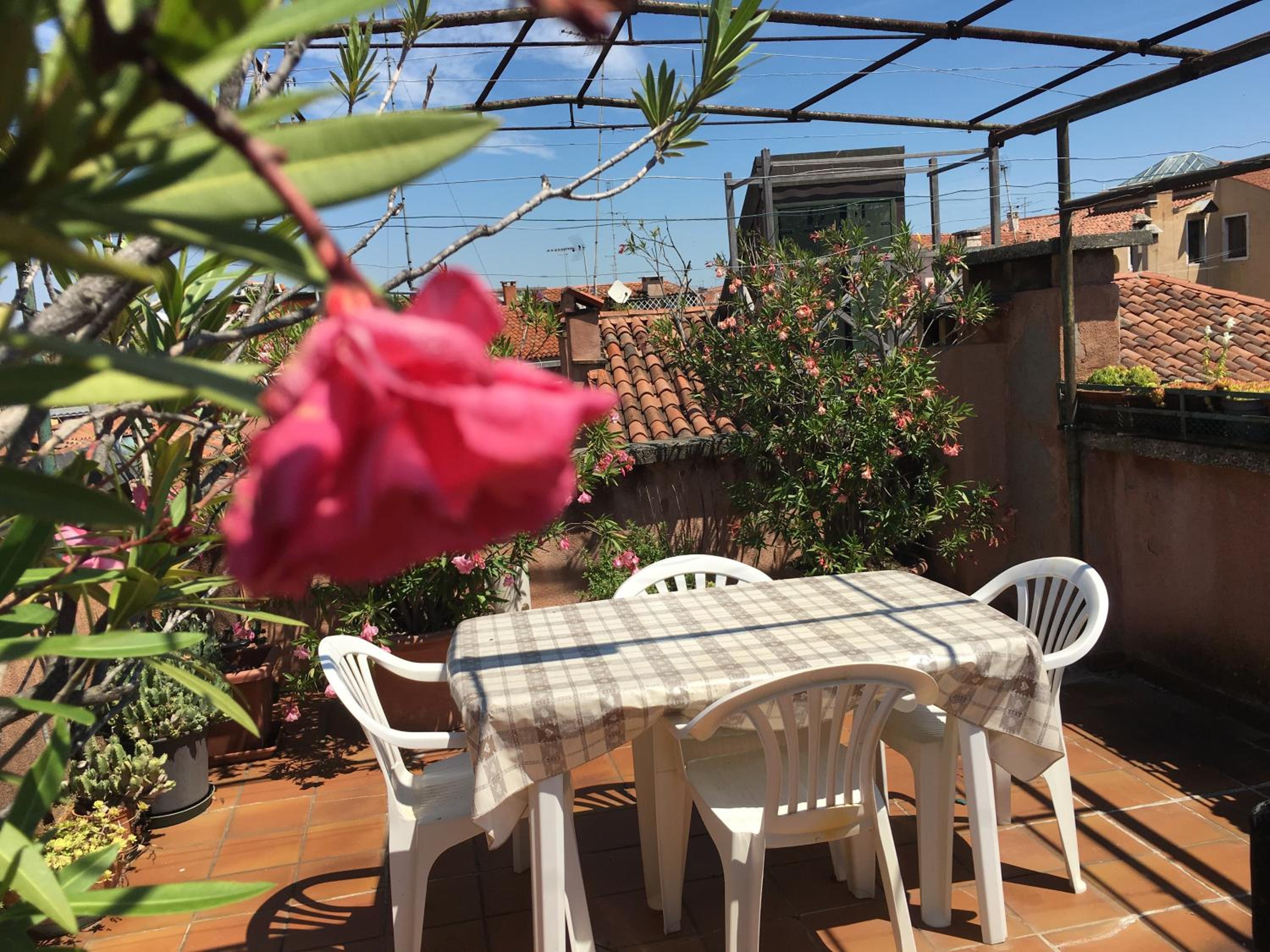 roof