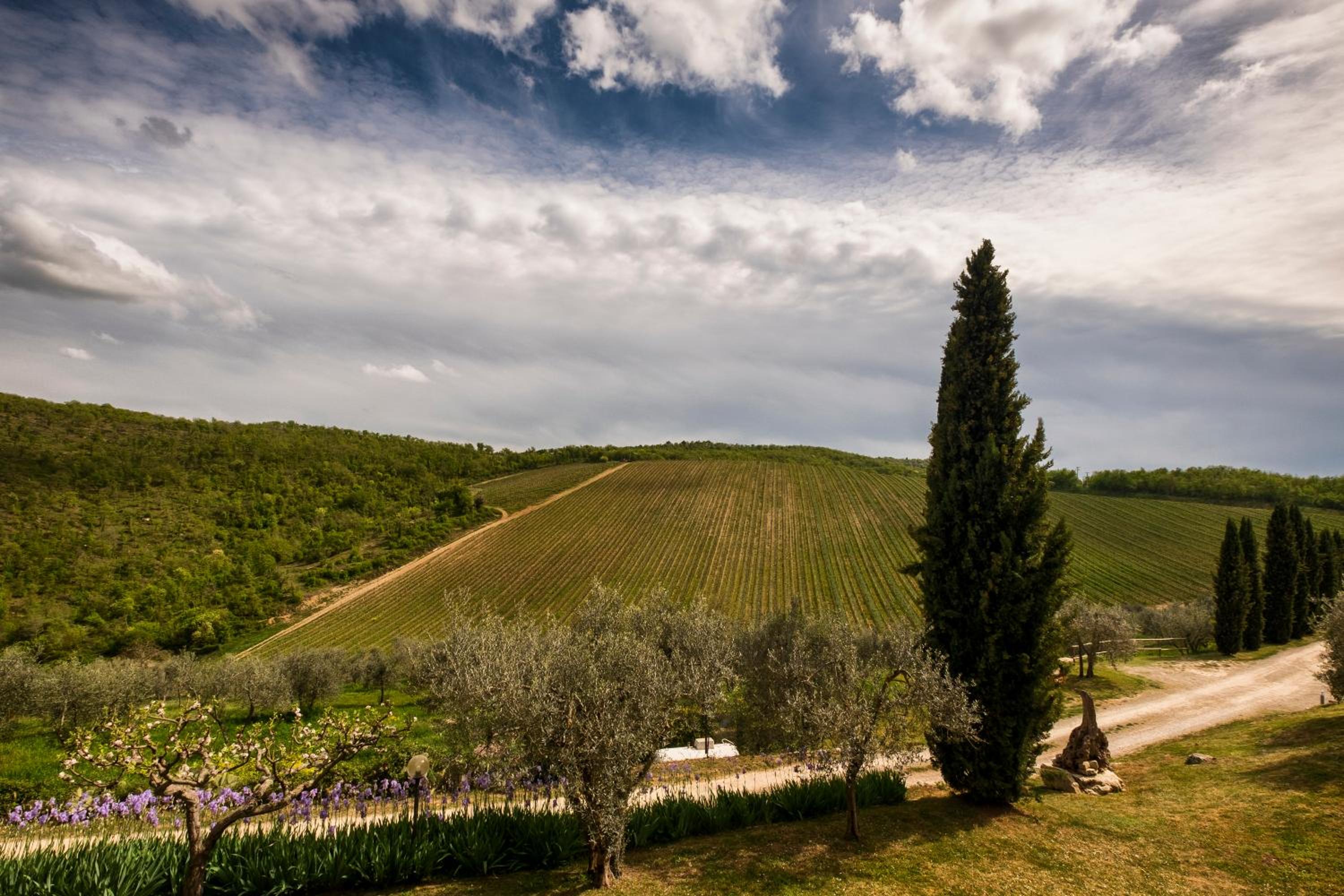 Querceto Di Castellina