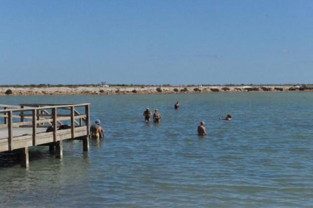 Photo 49