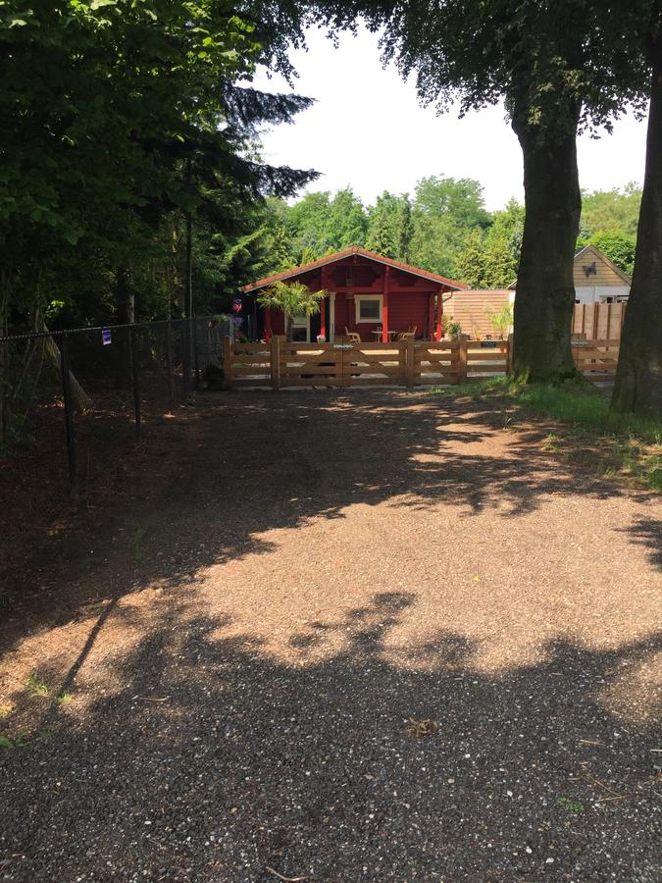 Photo 12