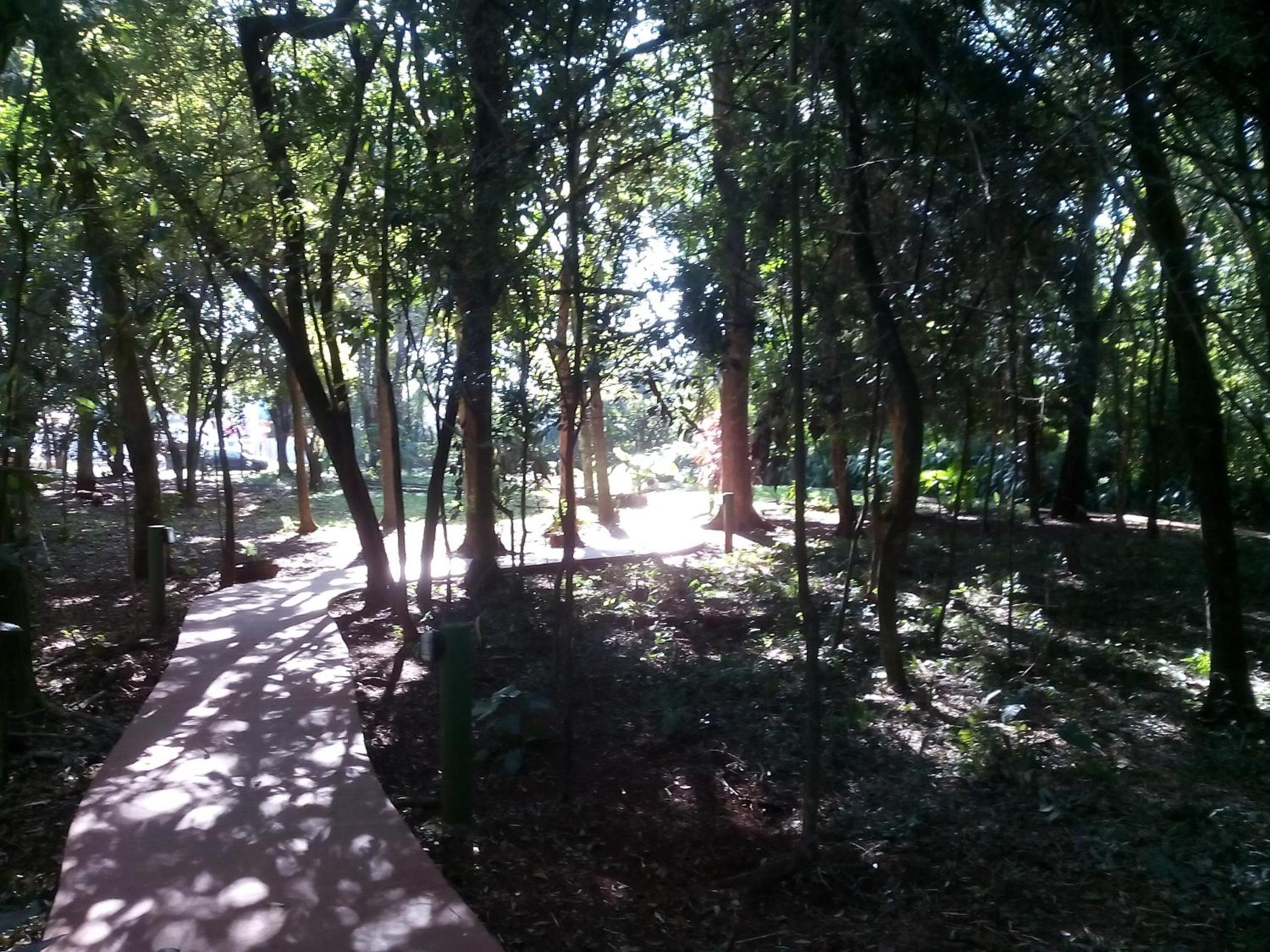 Photo 34