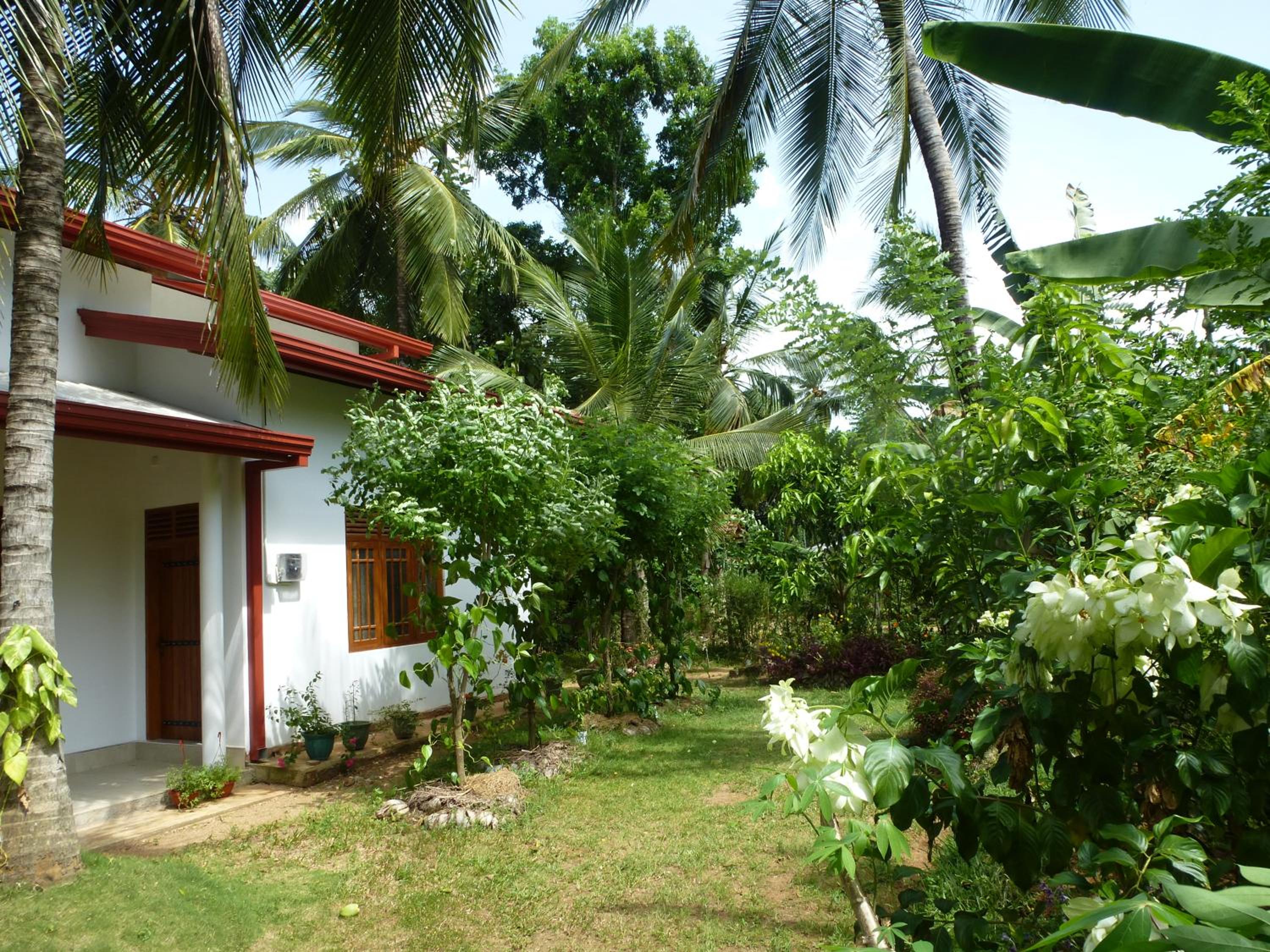 Photo 45