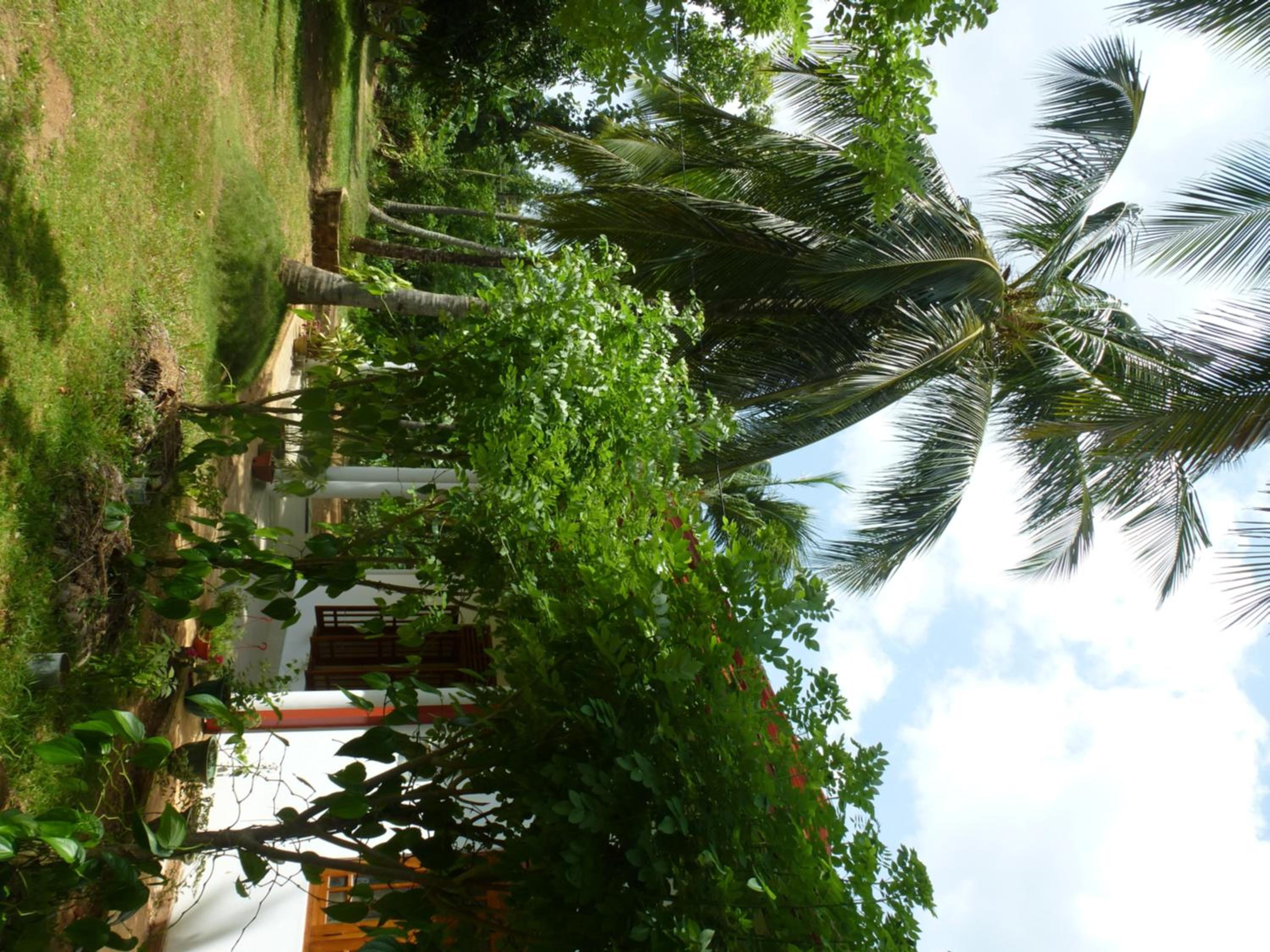 Photo 48