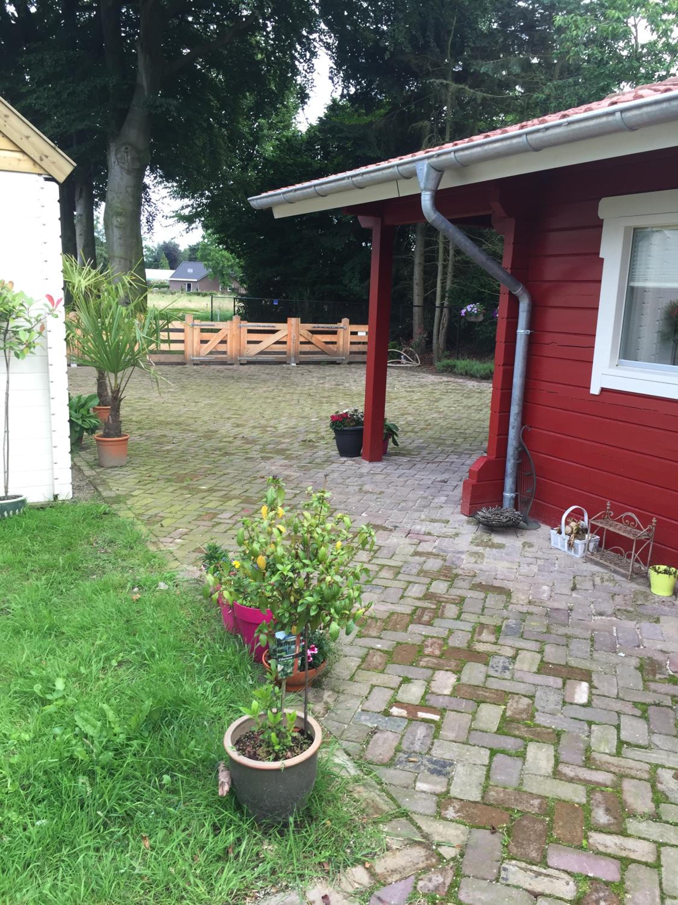 Photo 35