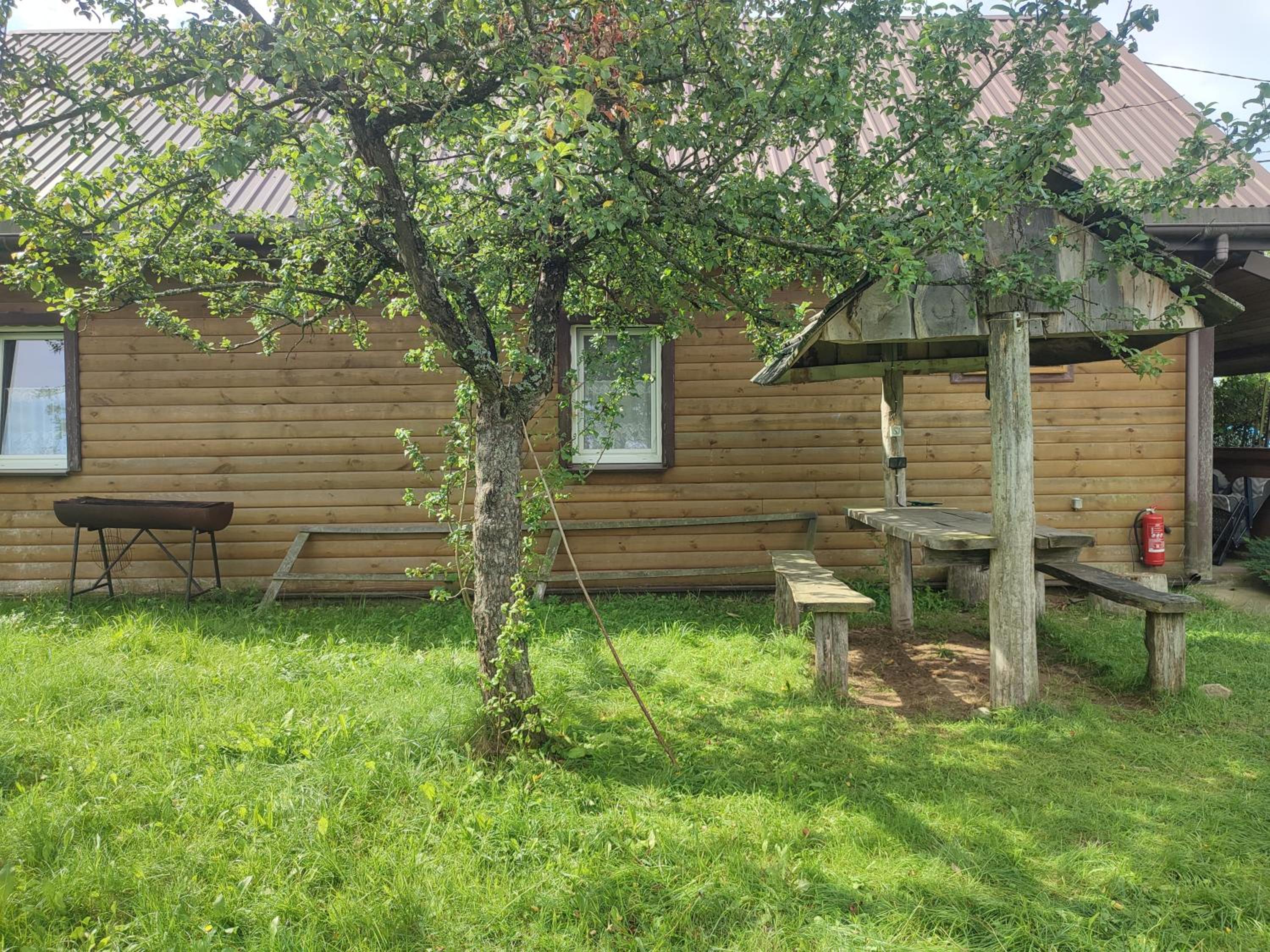 Photo 5