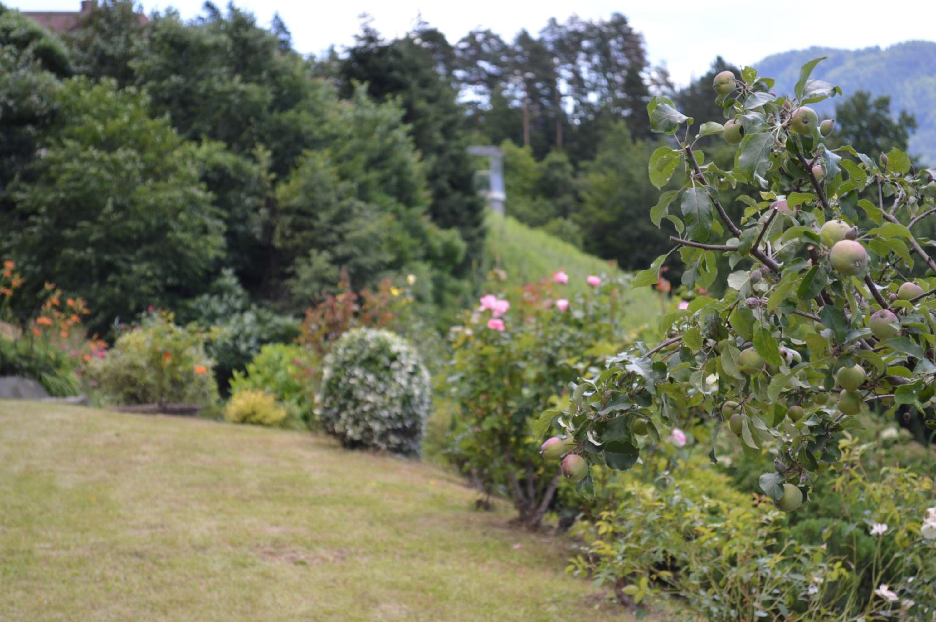 Jaeger Guesthouse