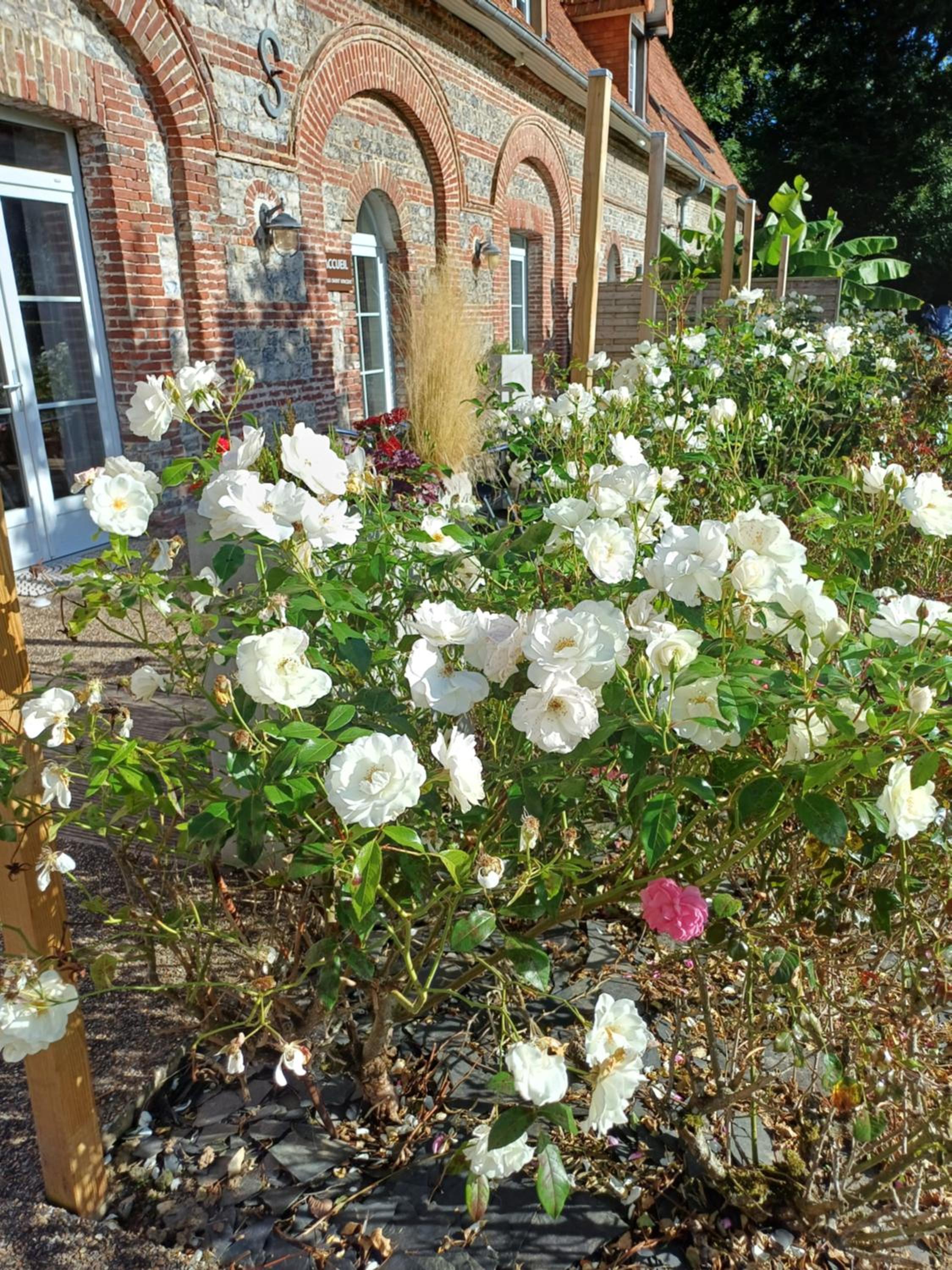 Photo 36
