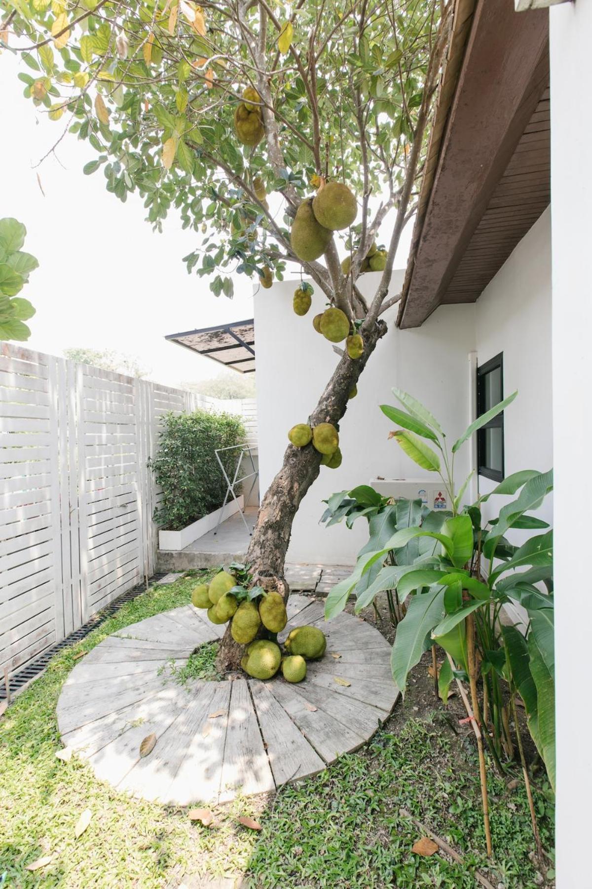 Whisper Oasis - Private Jacuzzi Pool Villa - 3BR, Sleeps 10 w Daily Housekeeping