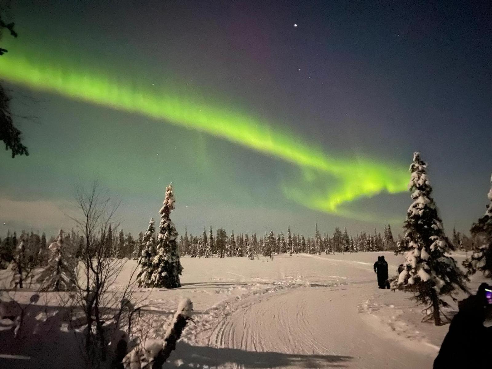 Villa Kelo - Casual Luxury in Lapland, Salla