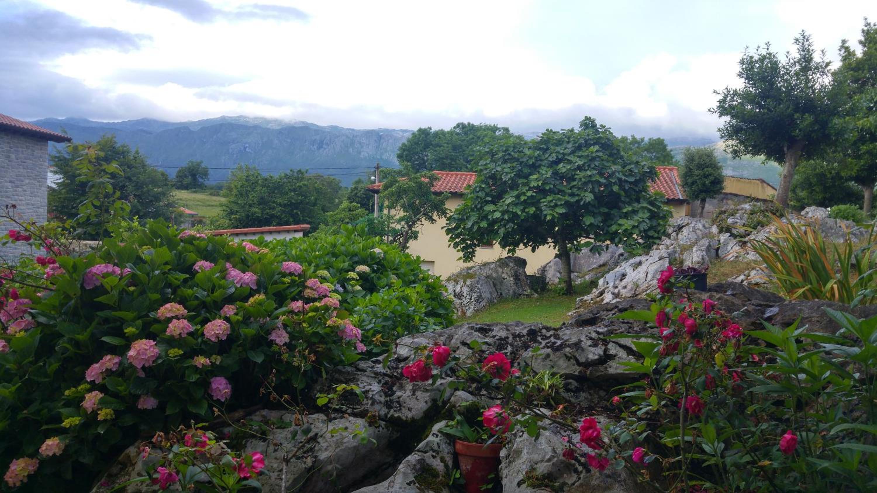 Hotel La Encina Celorio Llanes - Property Image 28