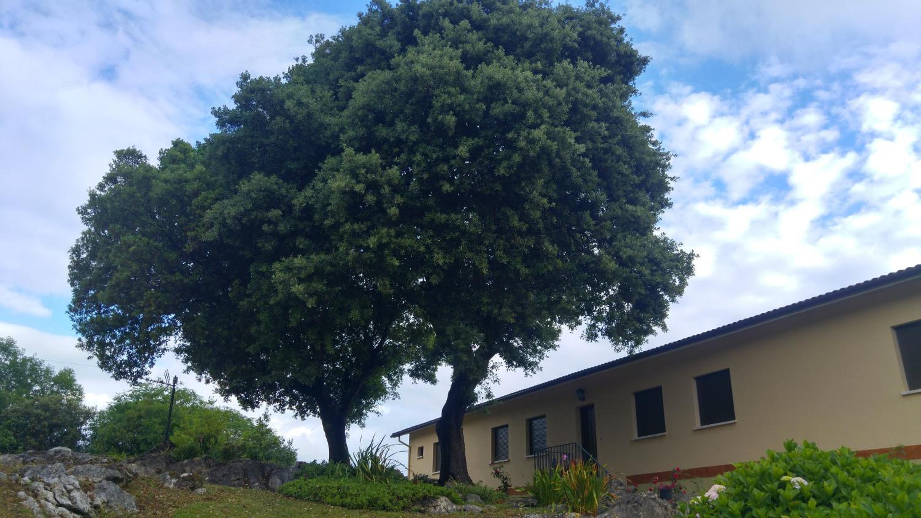 Hotel La Encina Celorio Llanes - Property Image 30