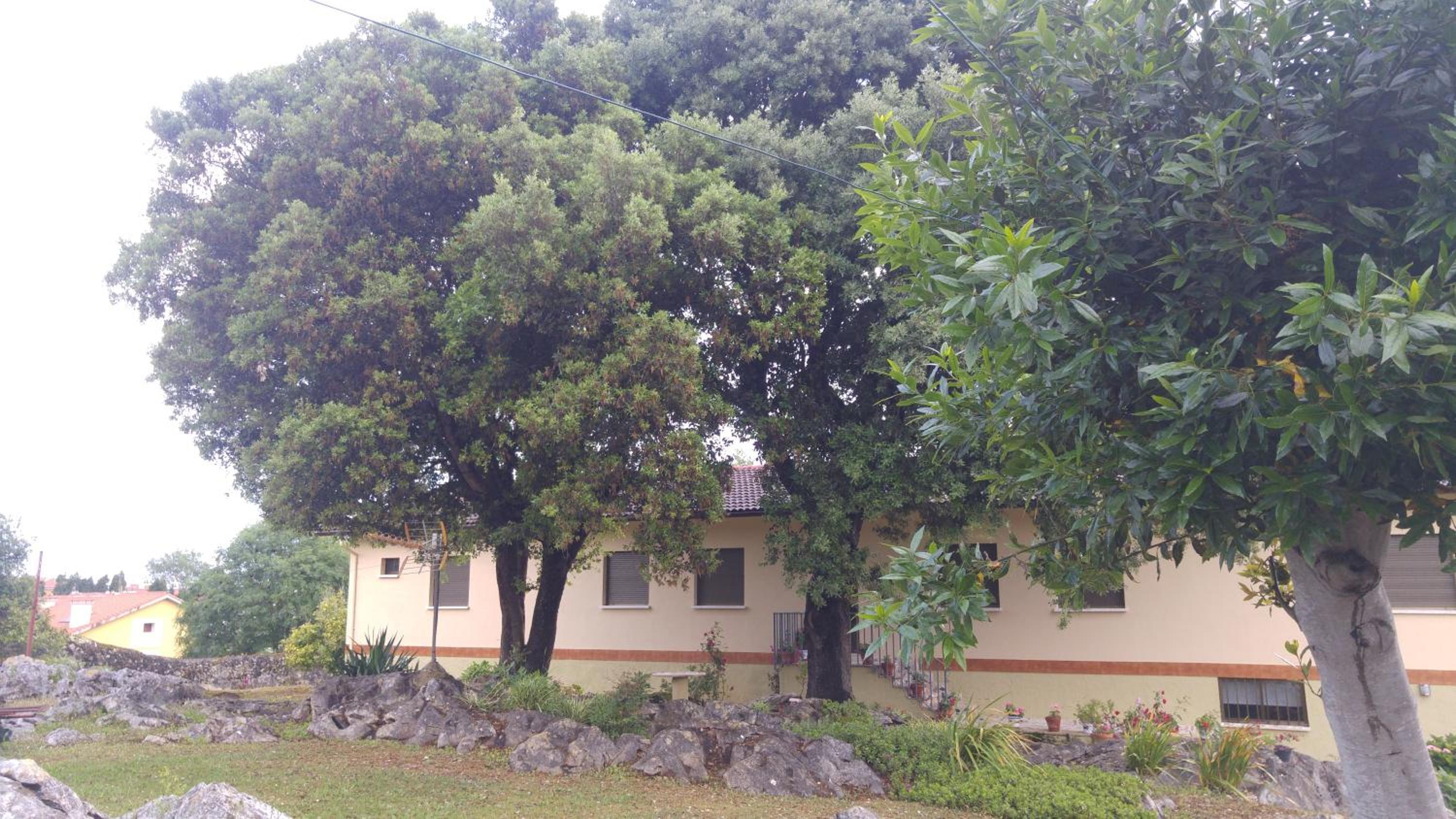 Hotel La Encina Celorio Llanes - Property Image 31