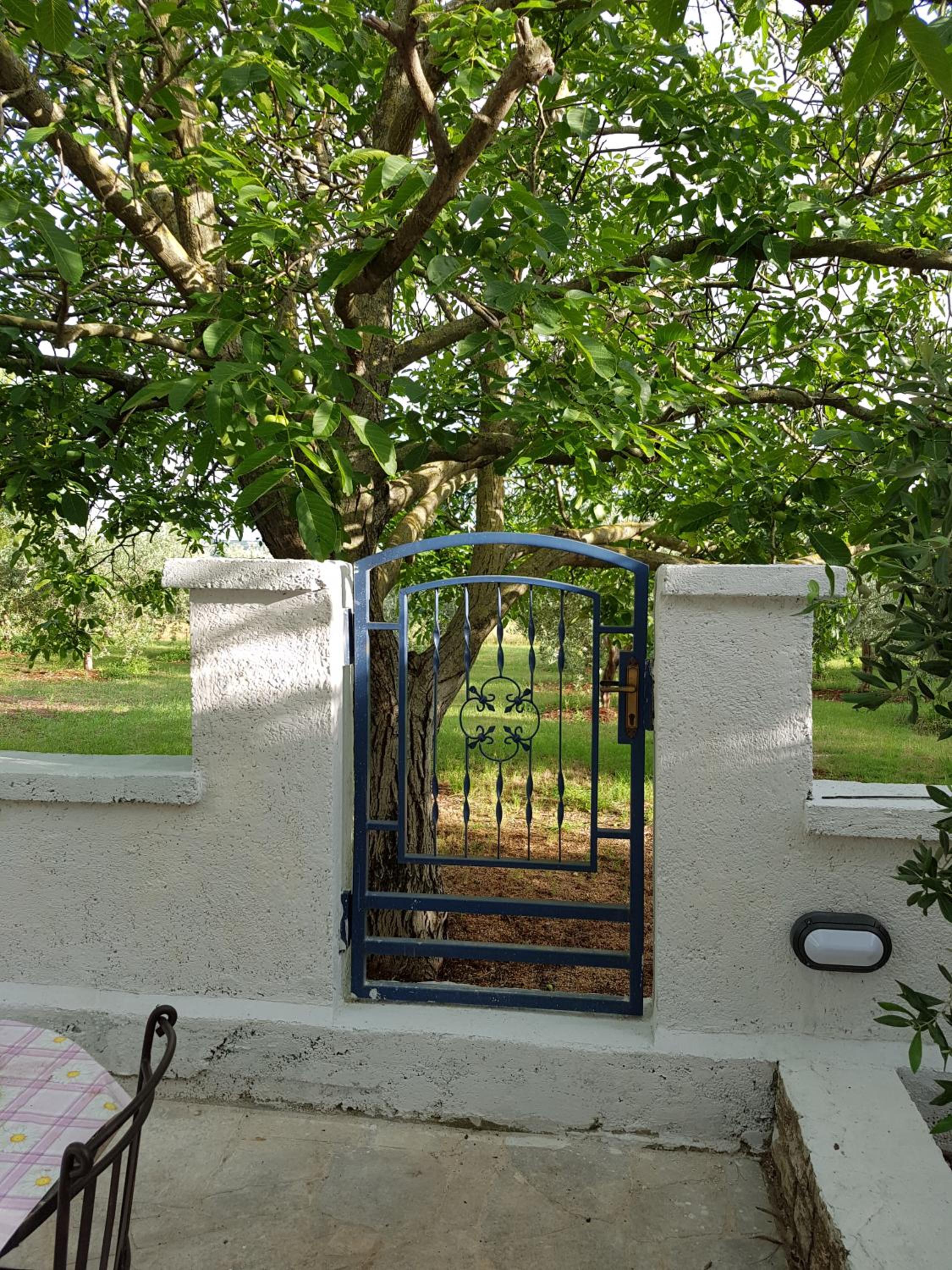 Photo 36