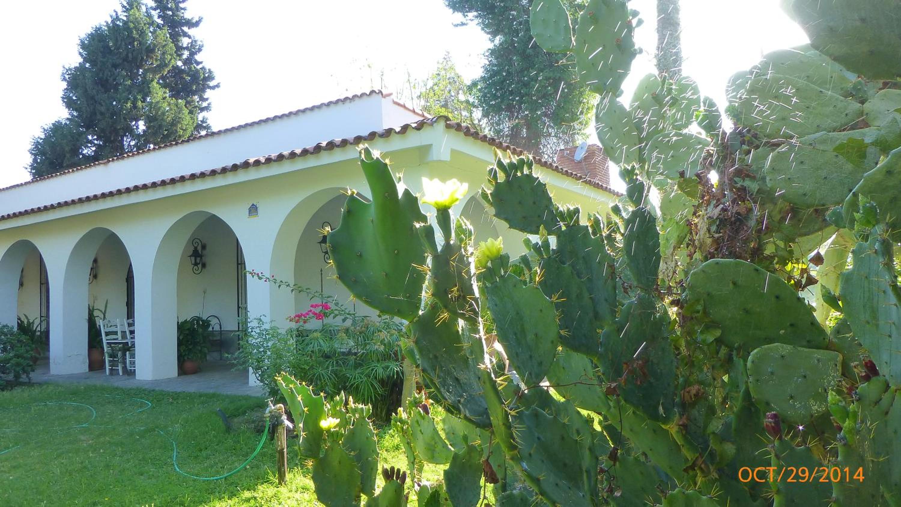 Loft en Casona Colonial