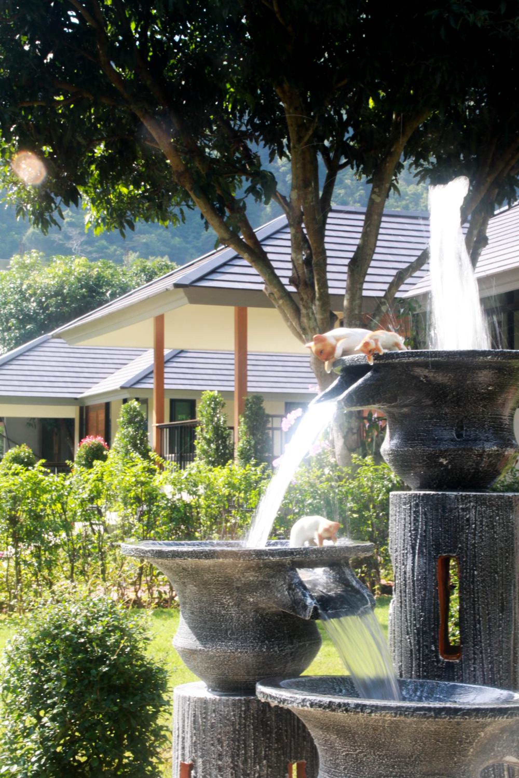 Khaokhab Lodge