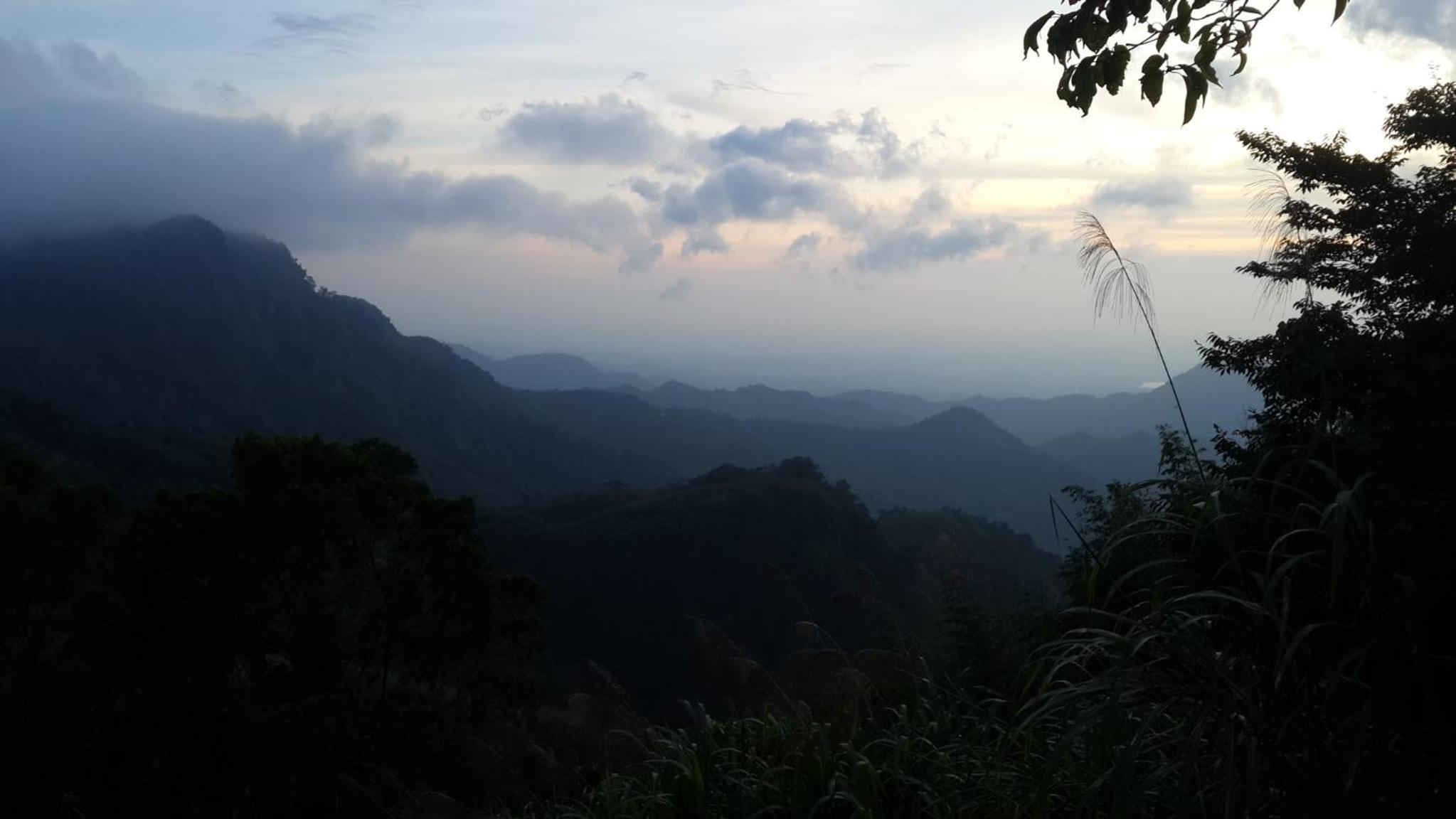 Alishan Tea Homestay