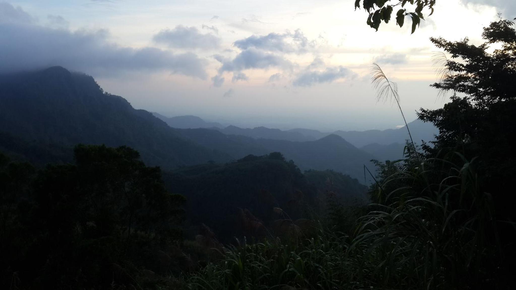 Alishan Tea Homestay