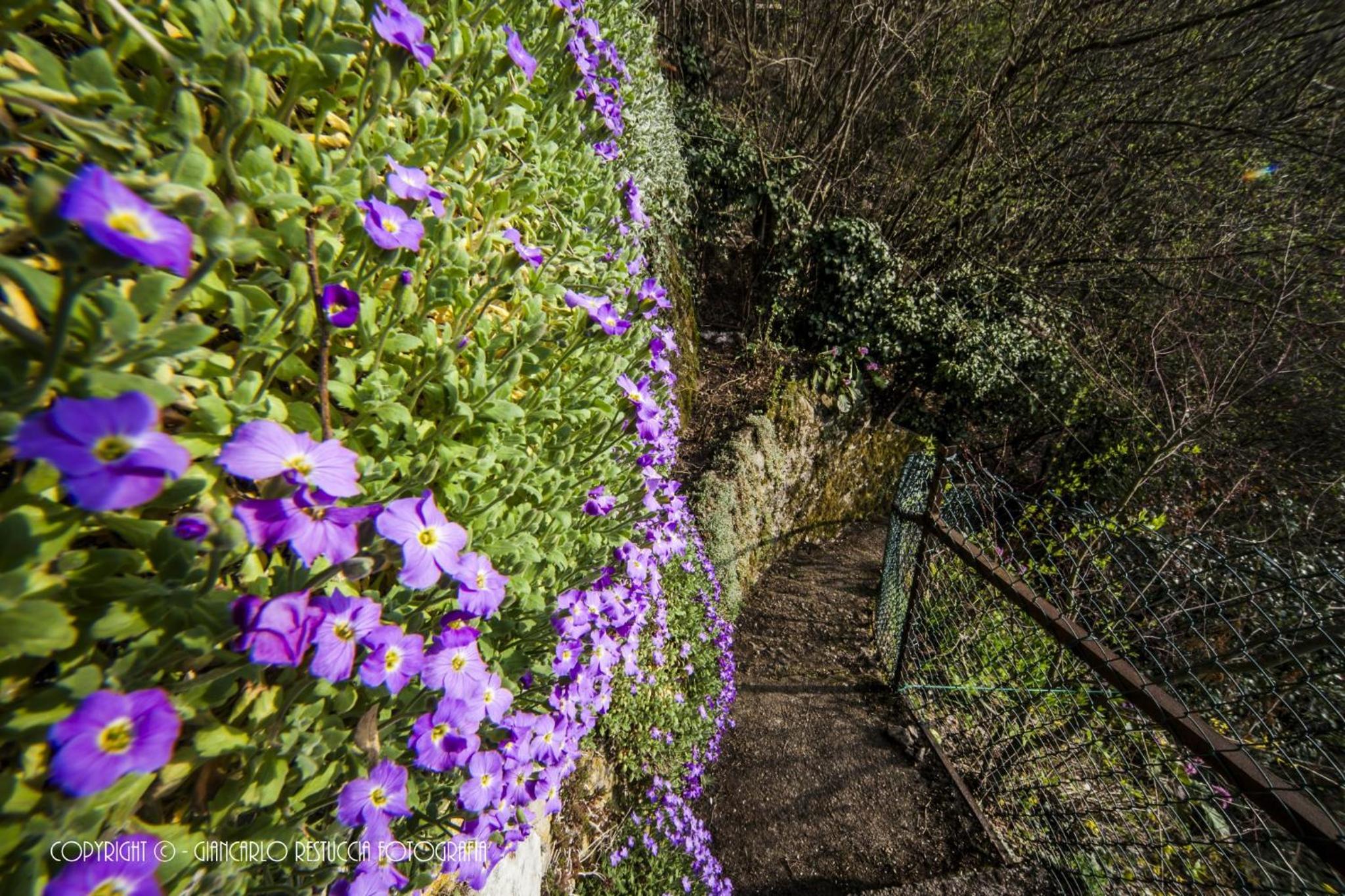 B&B Il Balcone sul Lago