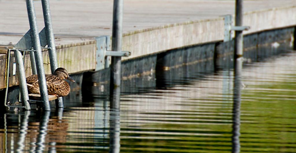Rösjöbaden Camping & Stugby