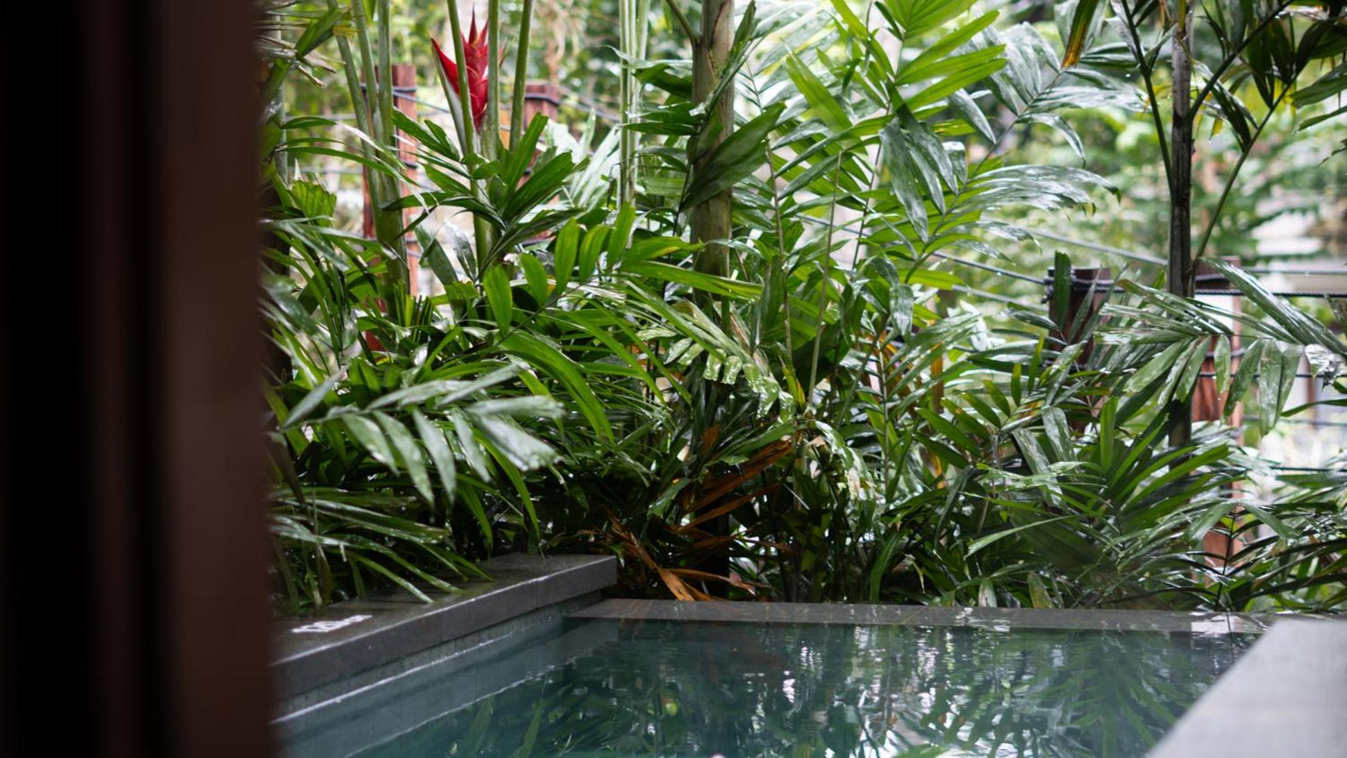 Villa At AnandaDara Ubud
