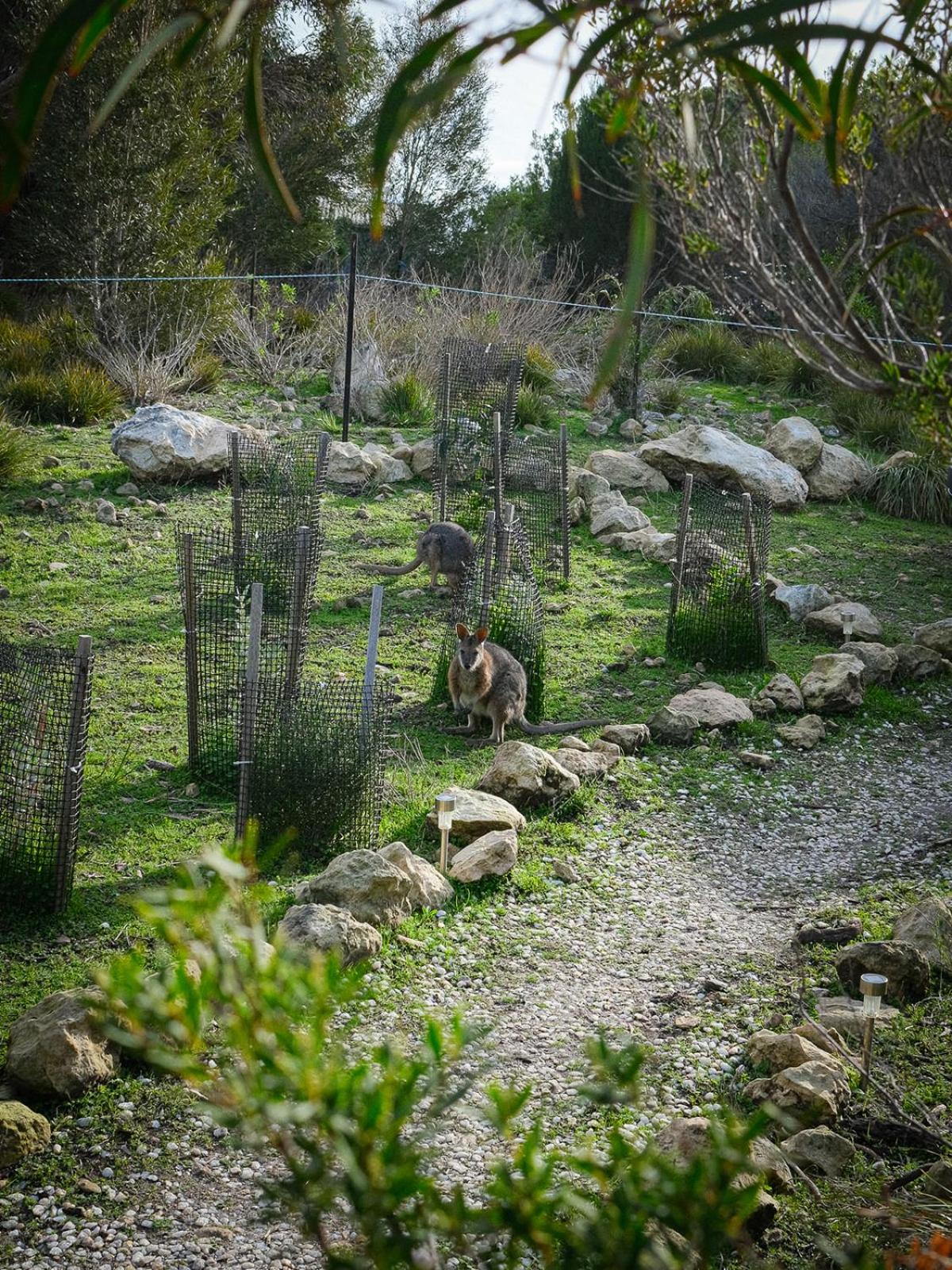 Beachside Nature Retreat on Kangaroo Island