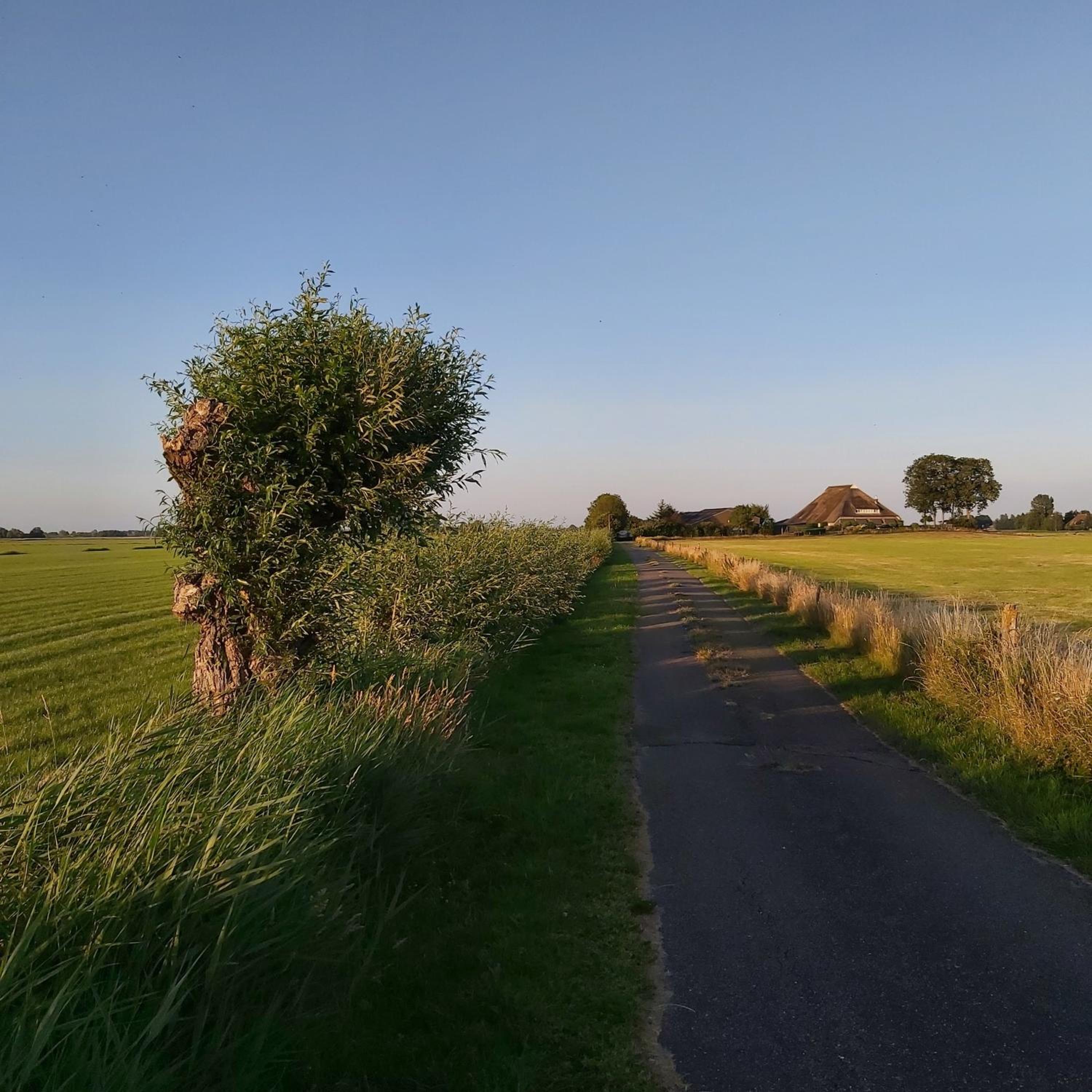 Luxury chalet 'Eveline' near Blokzijl - Airconditioned