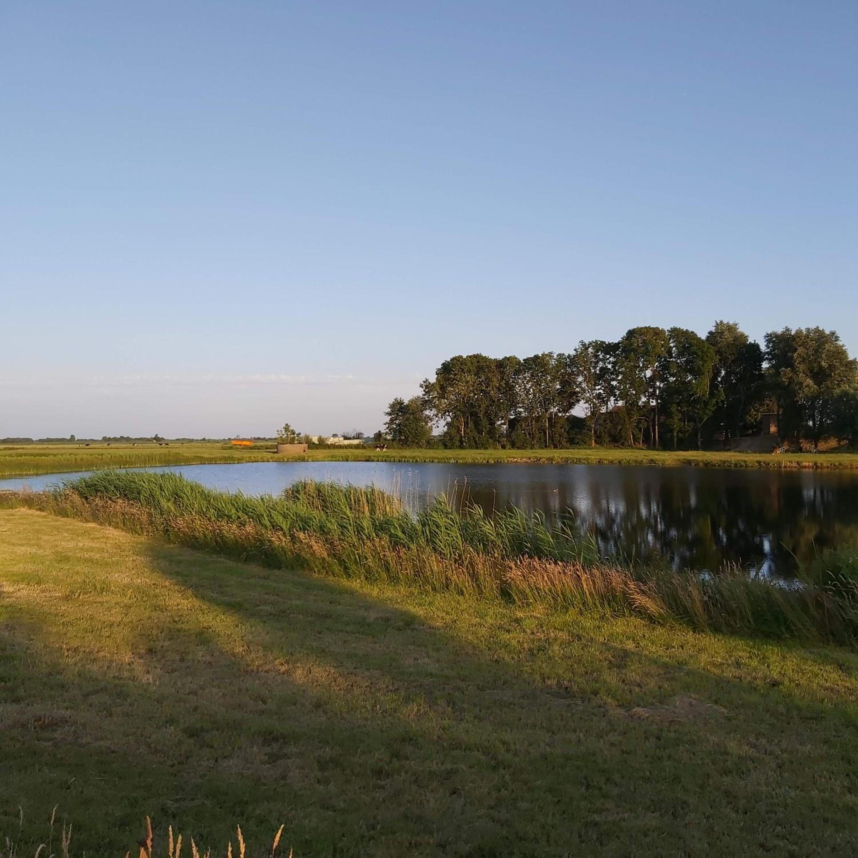 Luxury chalet 'Eveline' near Blokzijl - Airconditioned