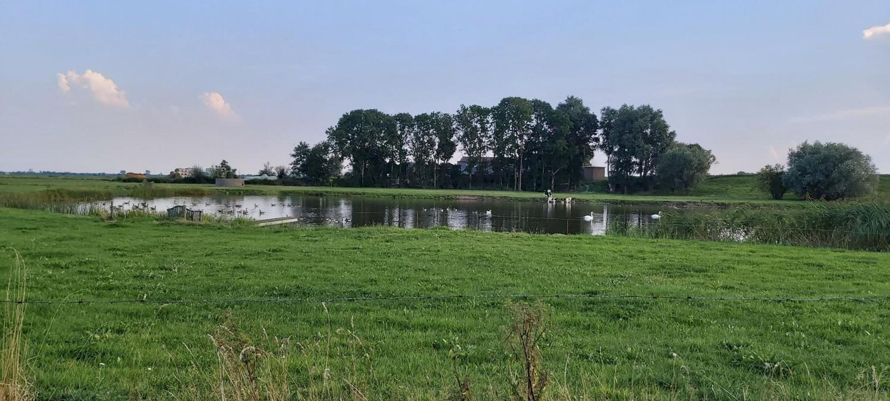 Luxury chalet 'Eveline' near Blokzijl - Airconditioned