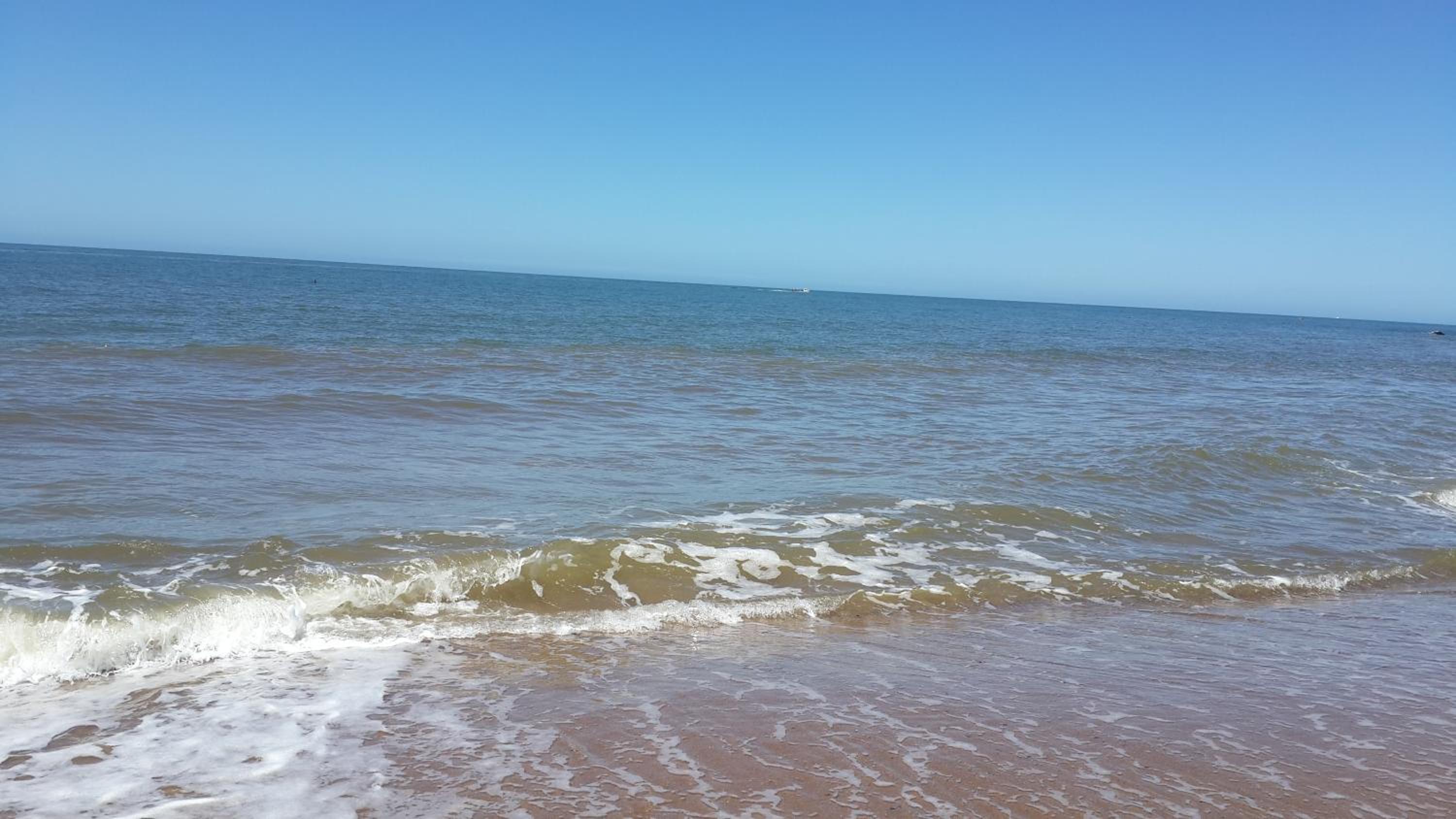 Photo 39
