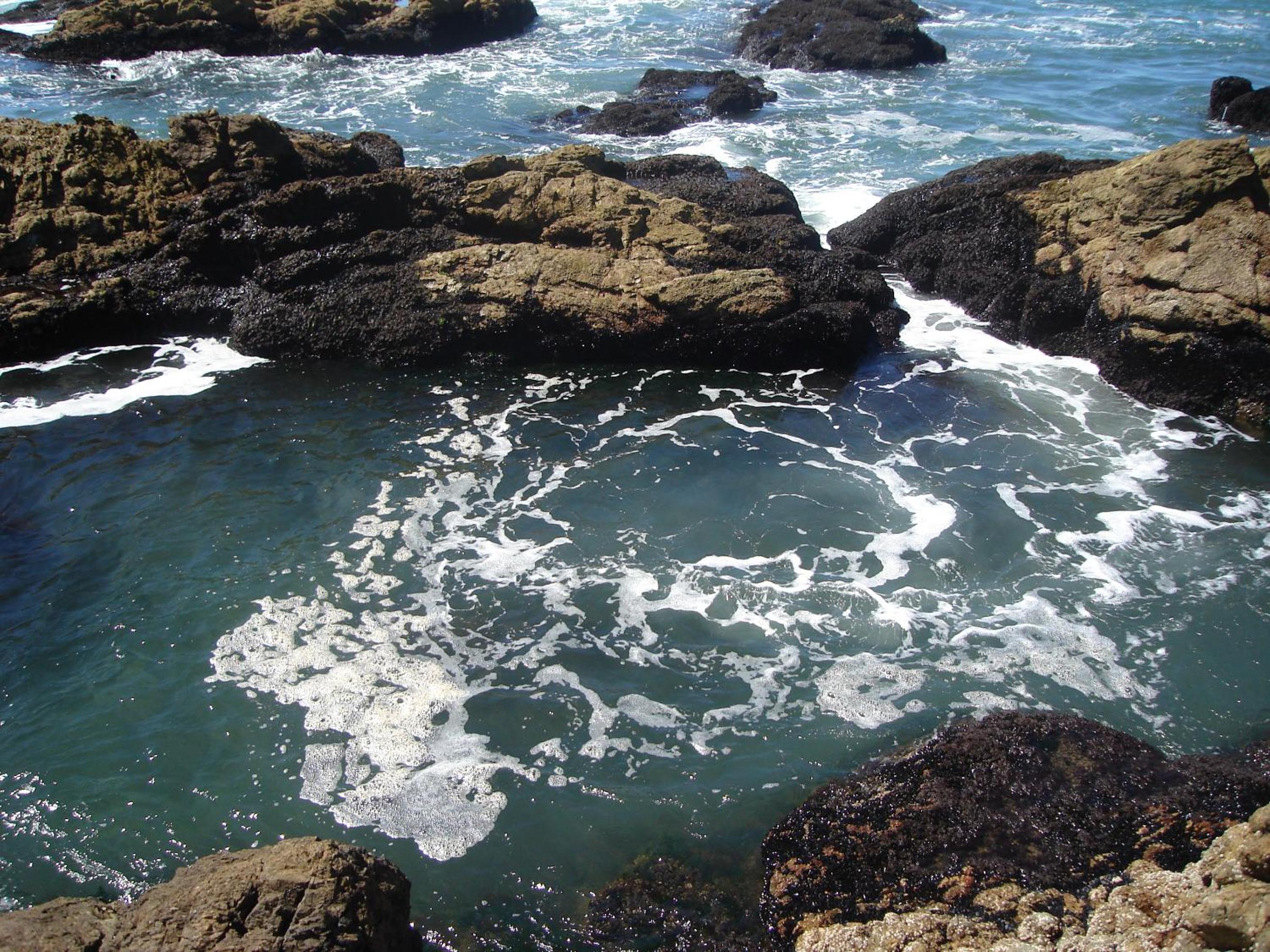 Photo 42
