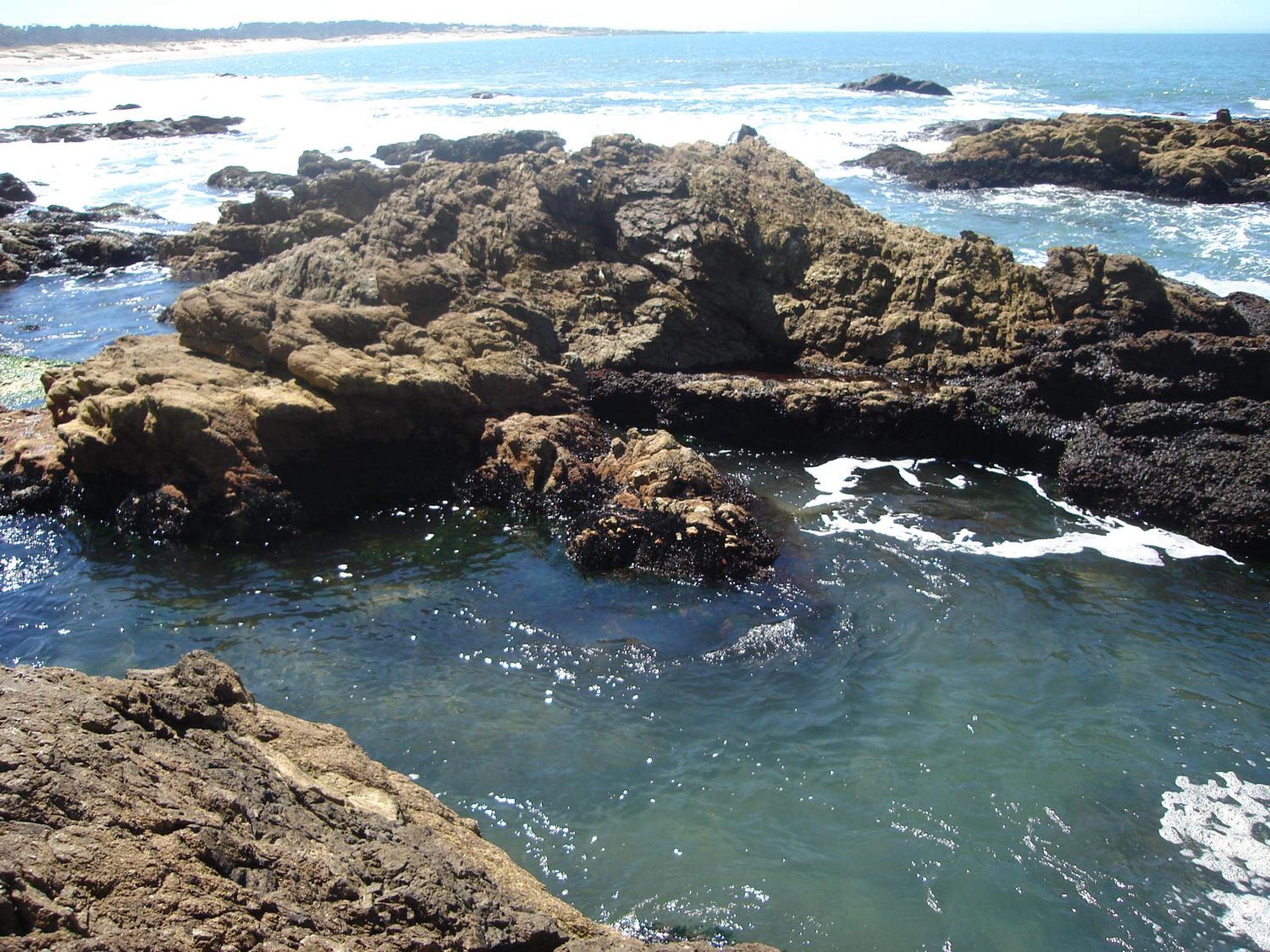 Photo 43