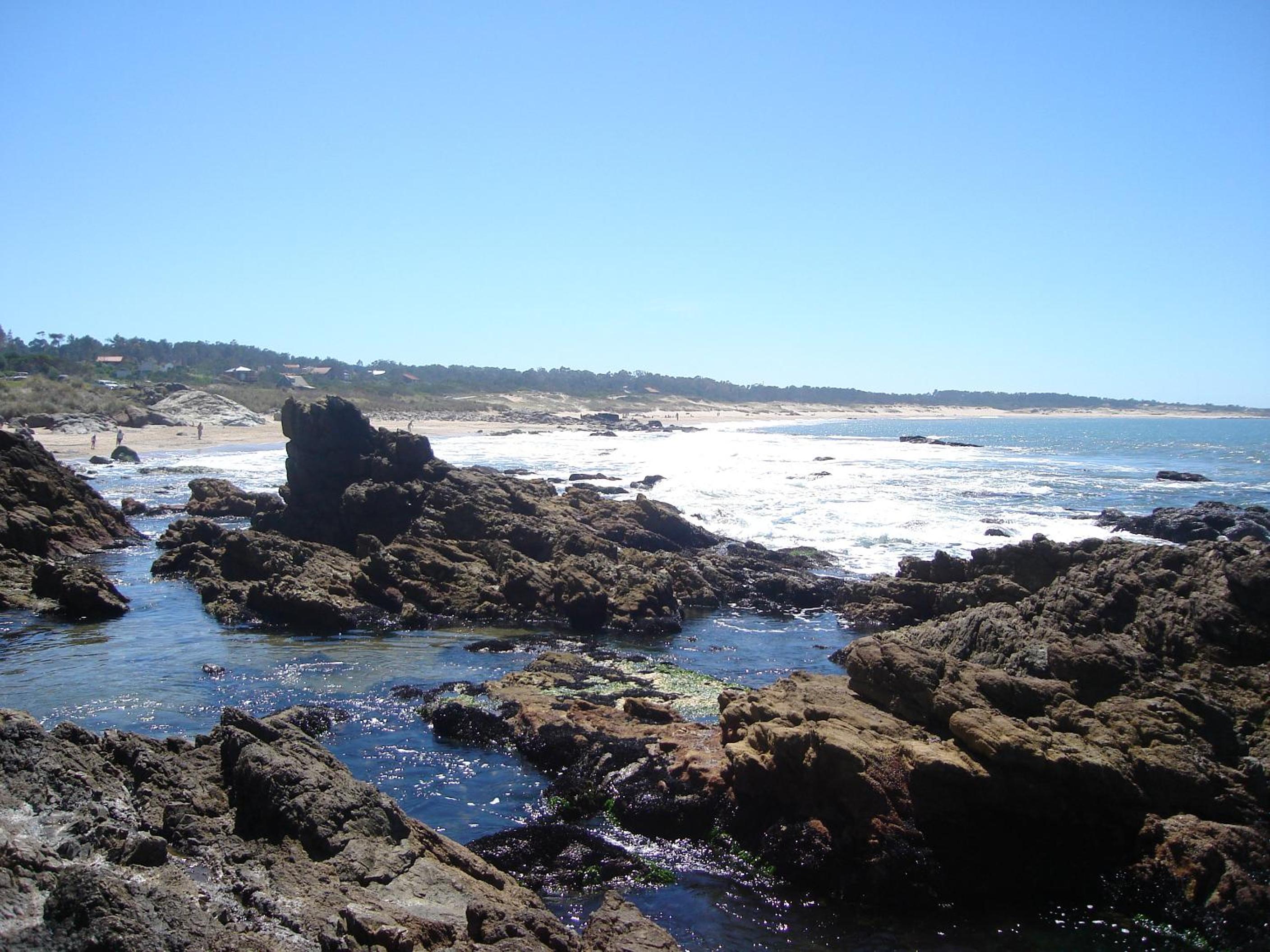 Photo 44