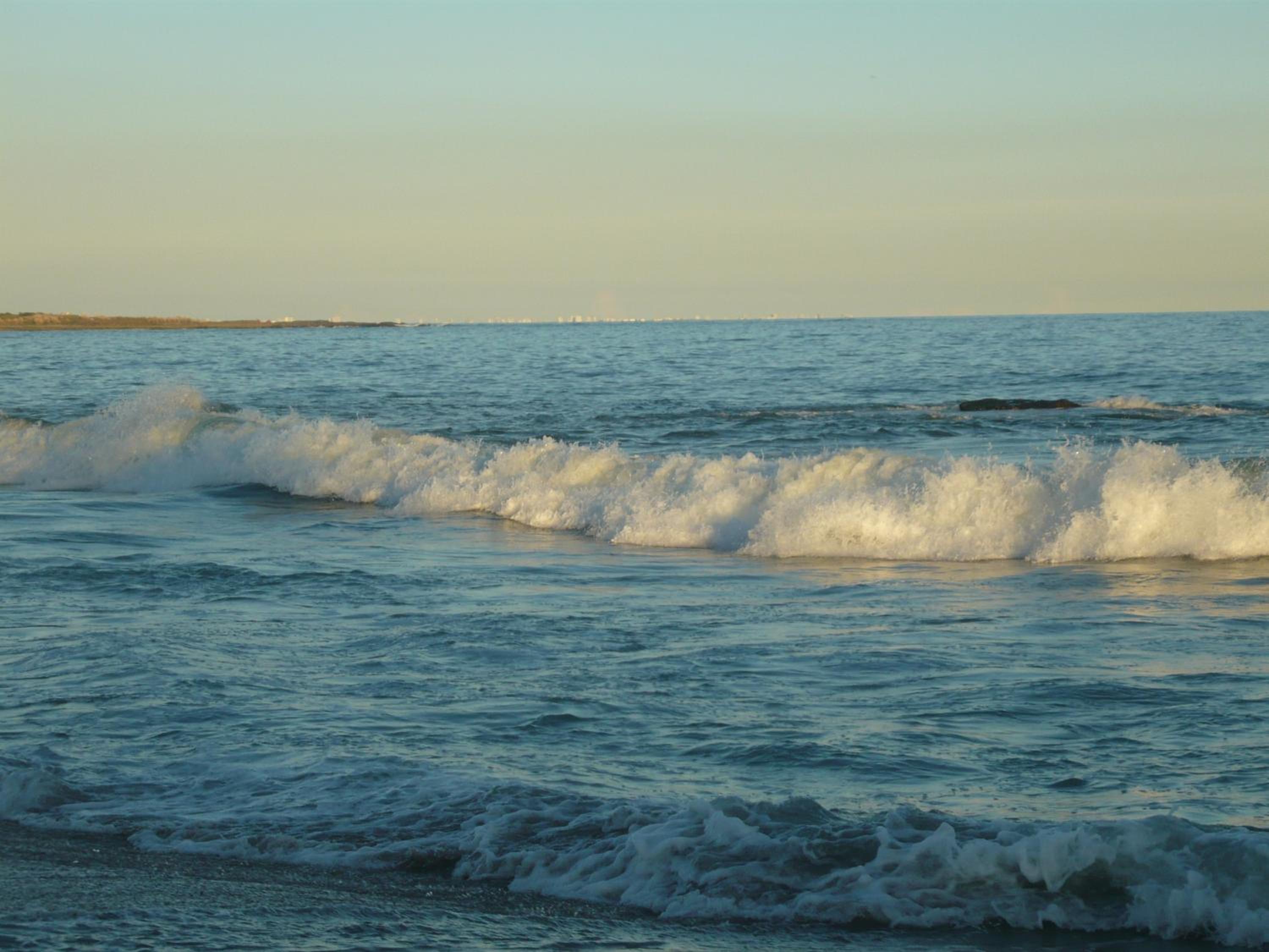 Photo 50