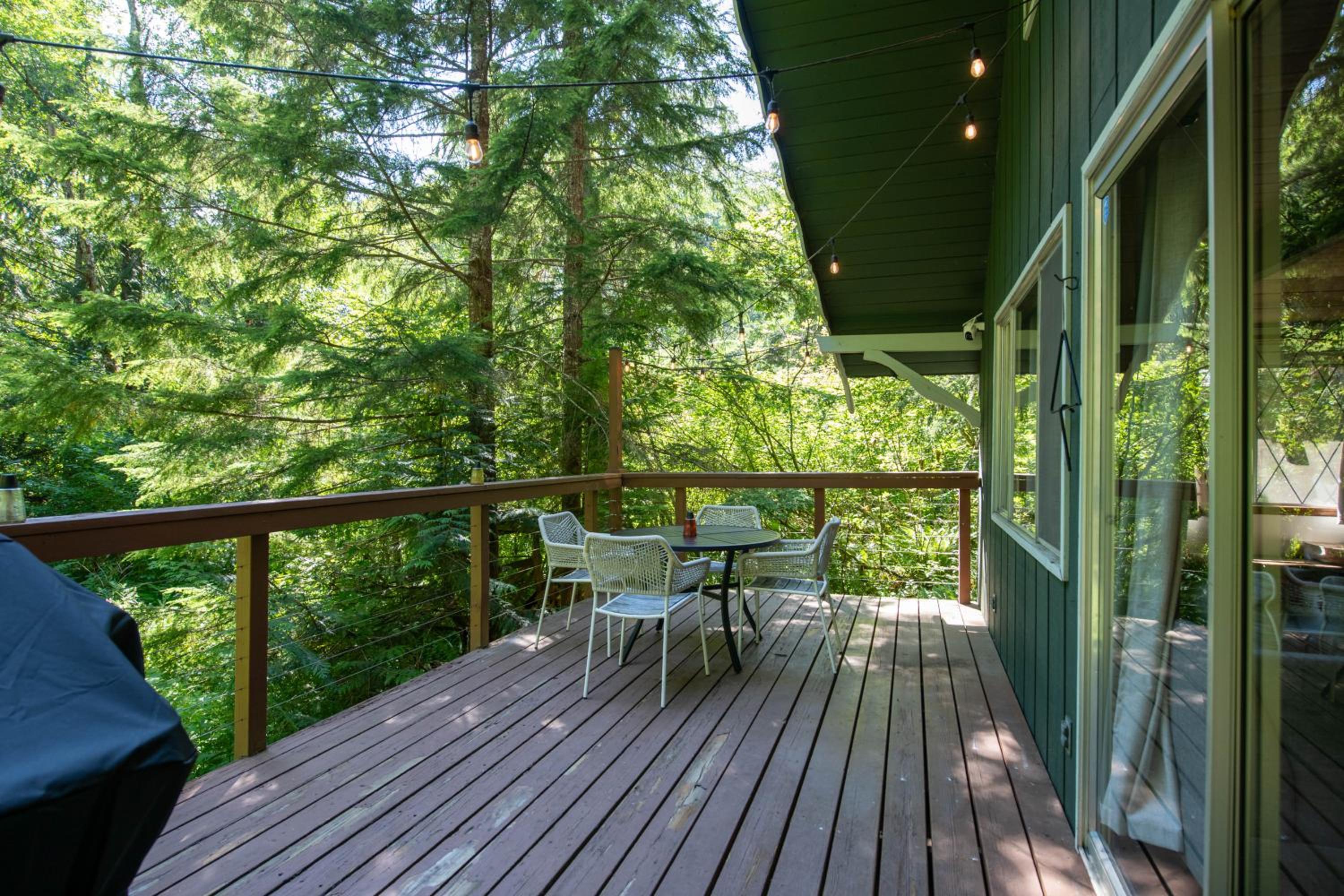 Fog & Fern Hideaway at Mount Rainier