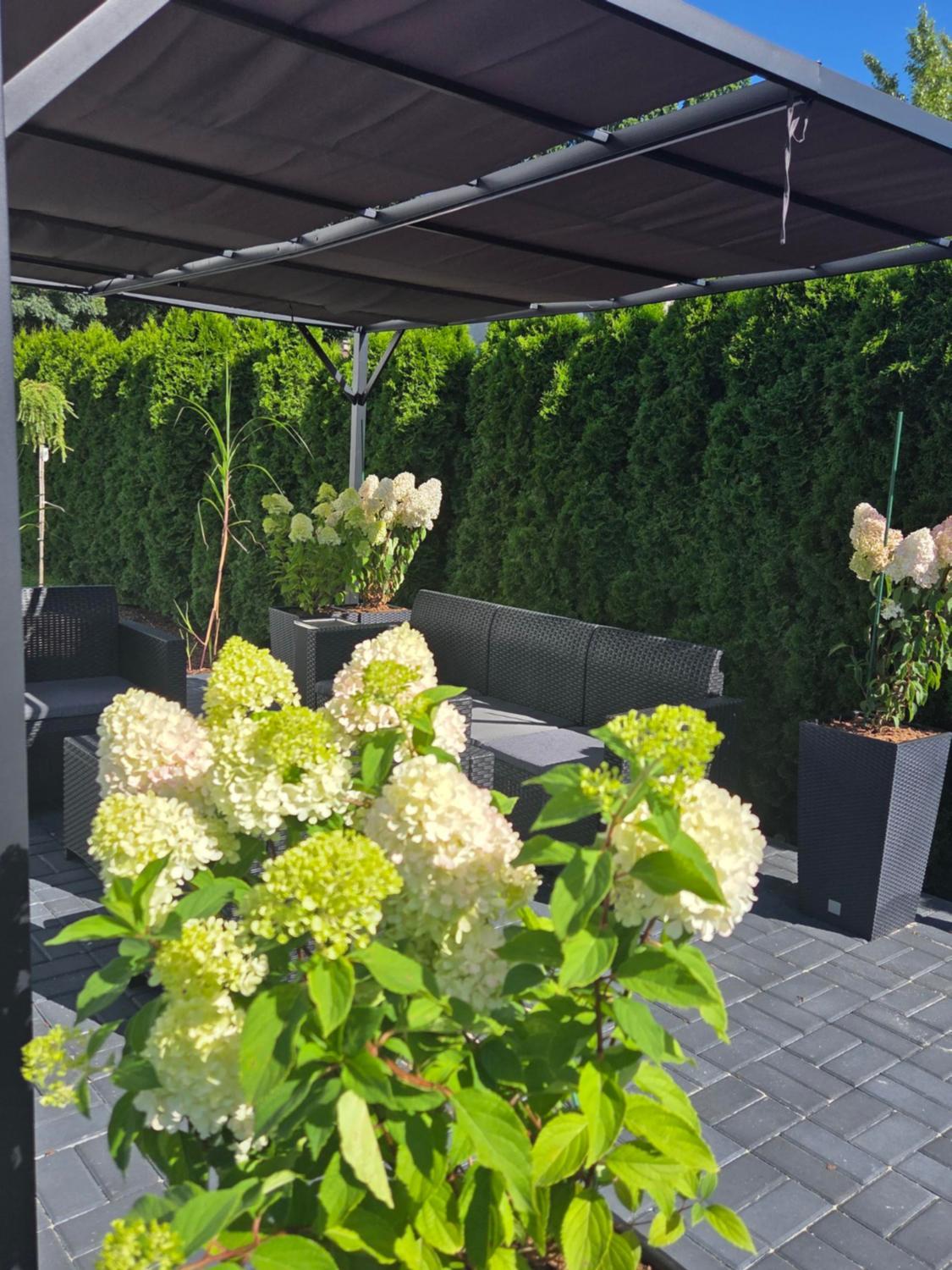 Apartamenty Janasa 13