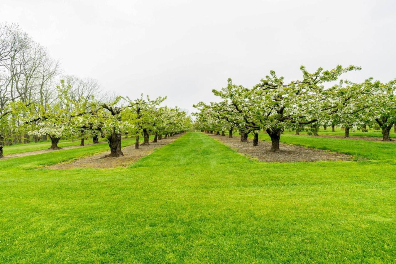 Inn The Orchard, Modern Cottage, private Hot Tub