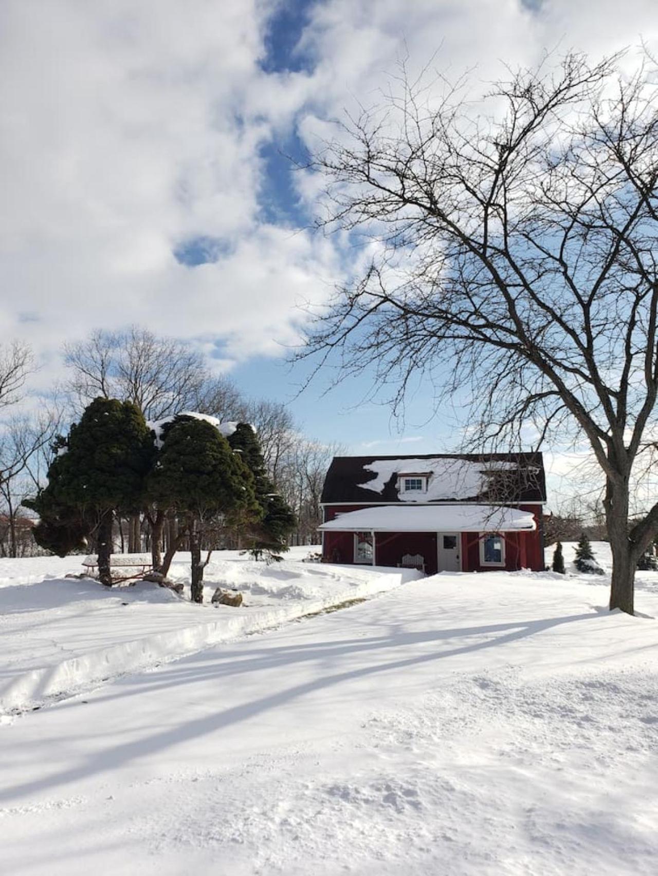 Inn The Orchard, Modern Cottage, private Hot Tub