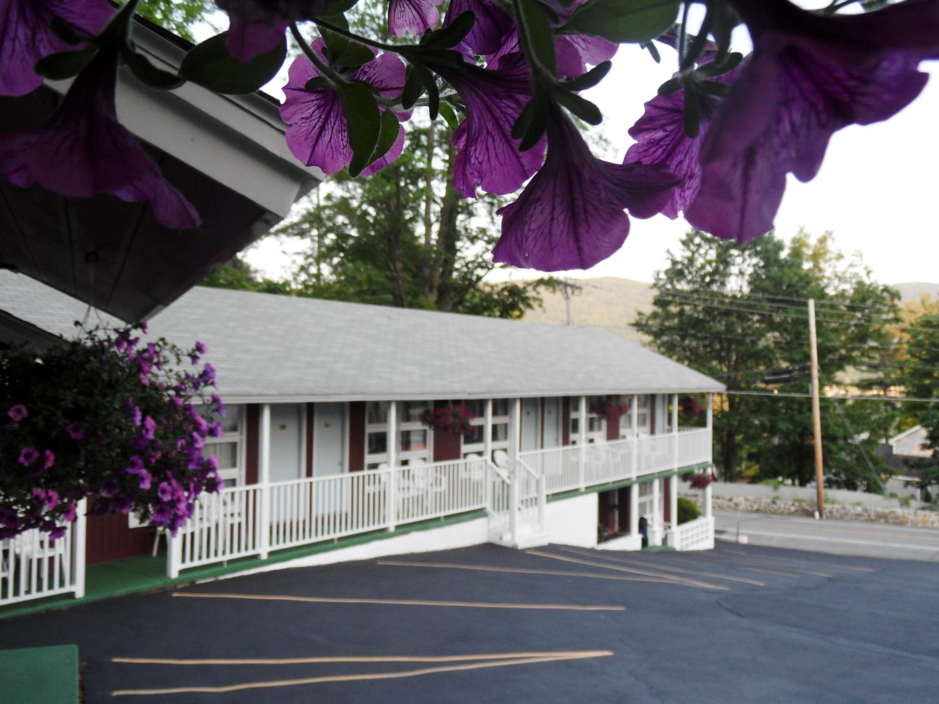 Pinebrook Motel