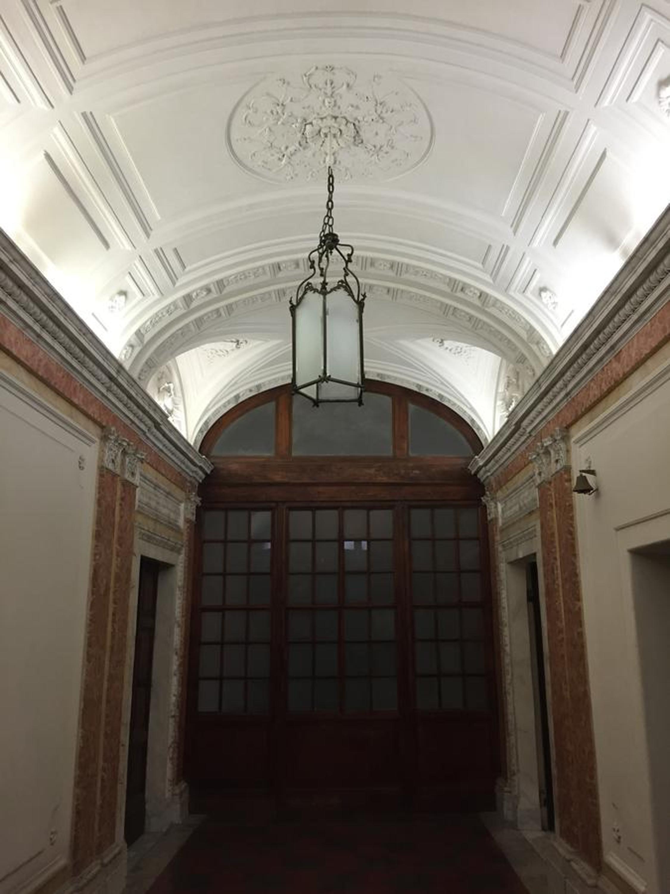 Rinidia Roma Centro
