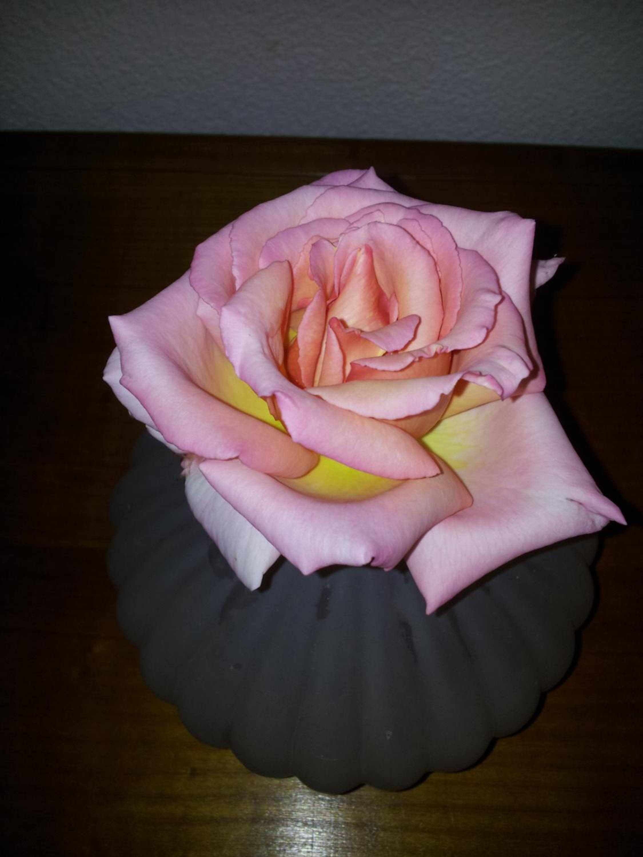 Photo 28