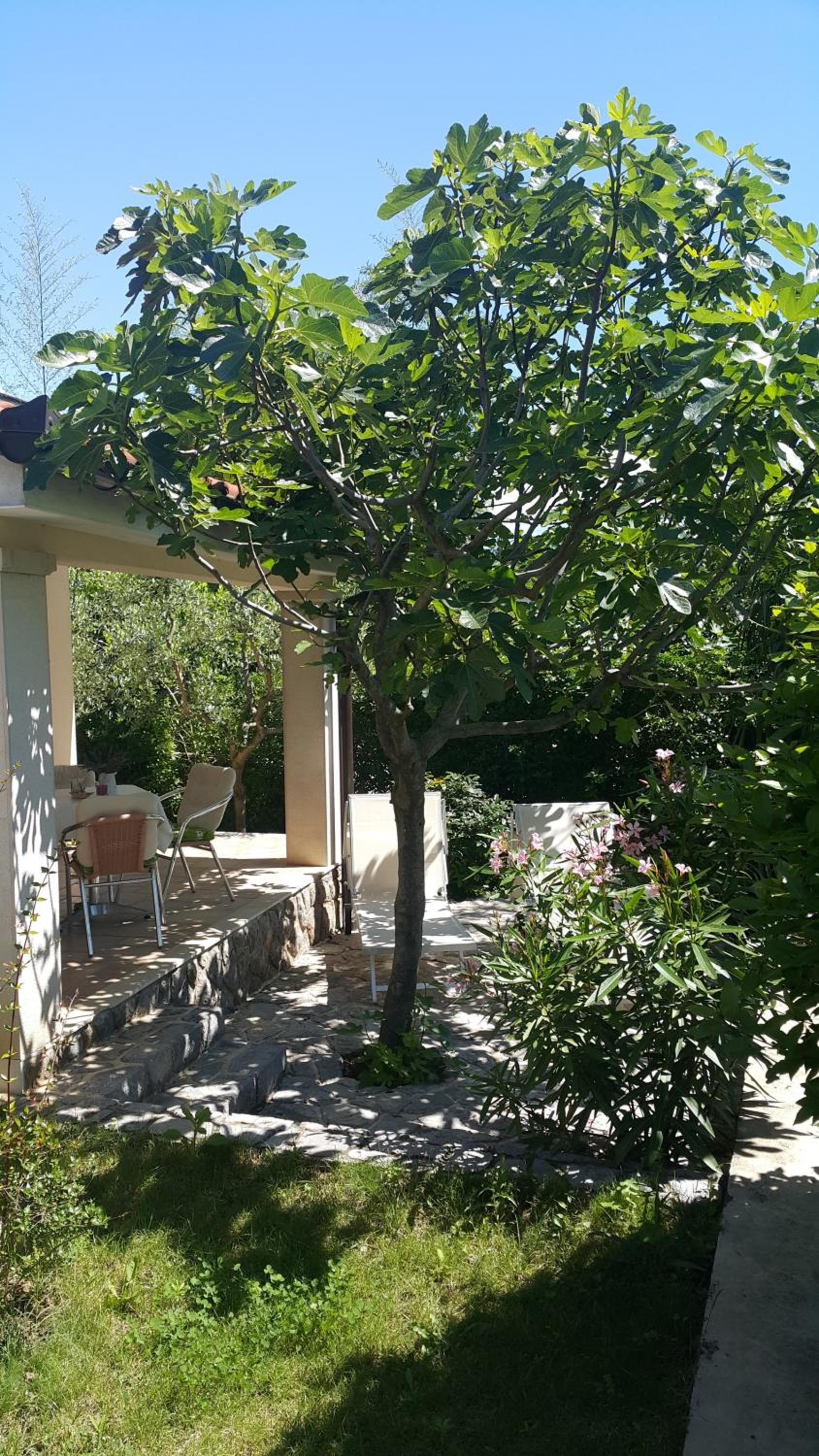 Apartments Beni