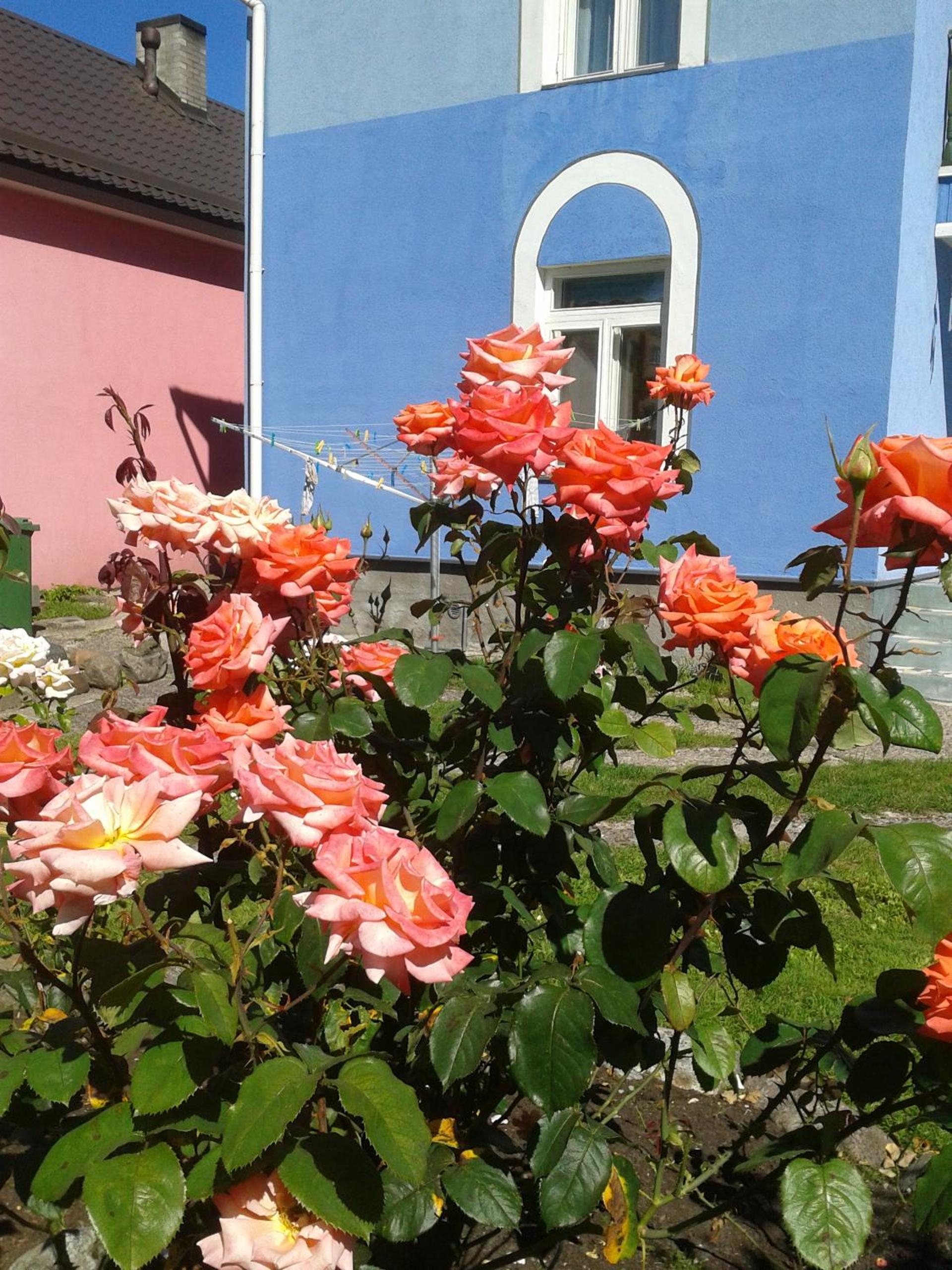 Photo 9