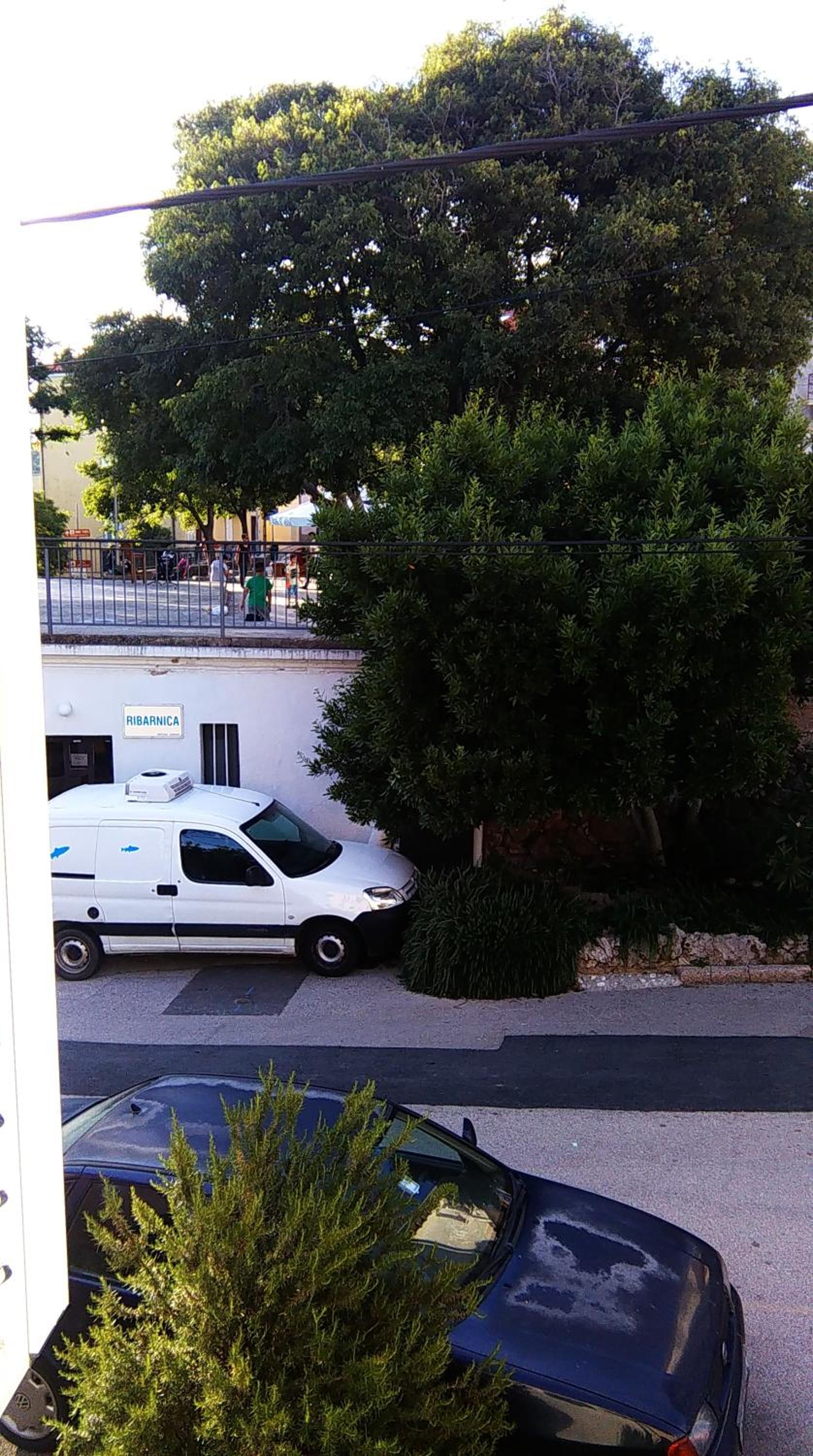 Photo 49