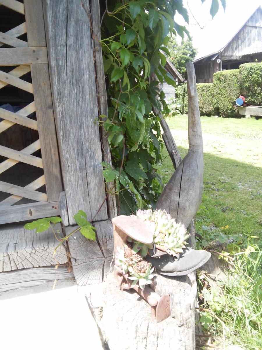 Photo 83