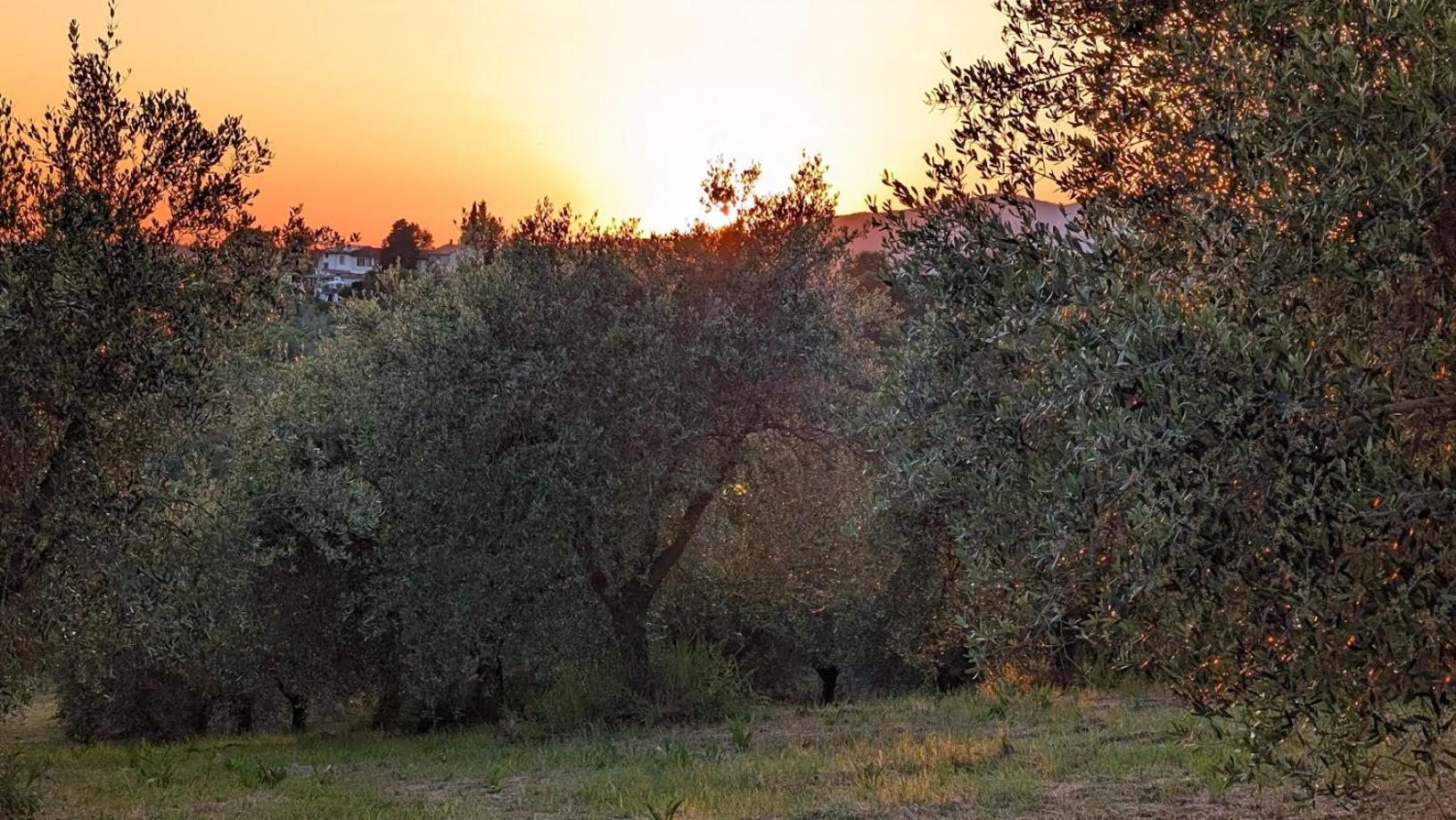 Agriturismo Amici Miei