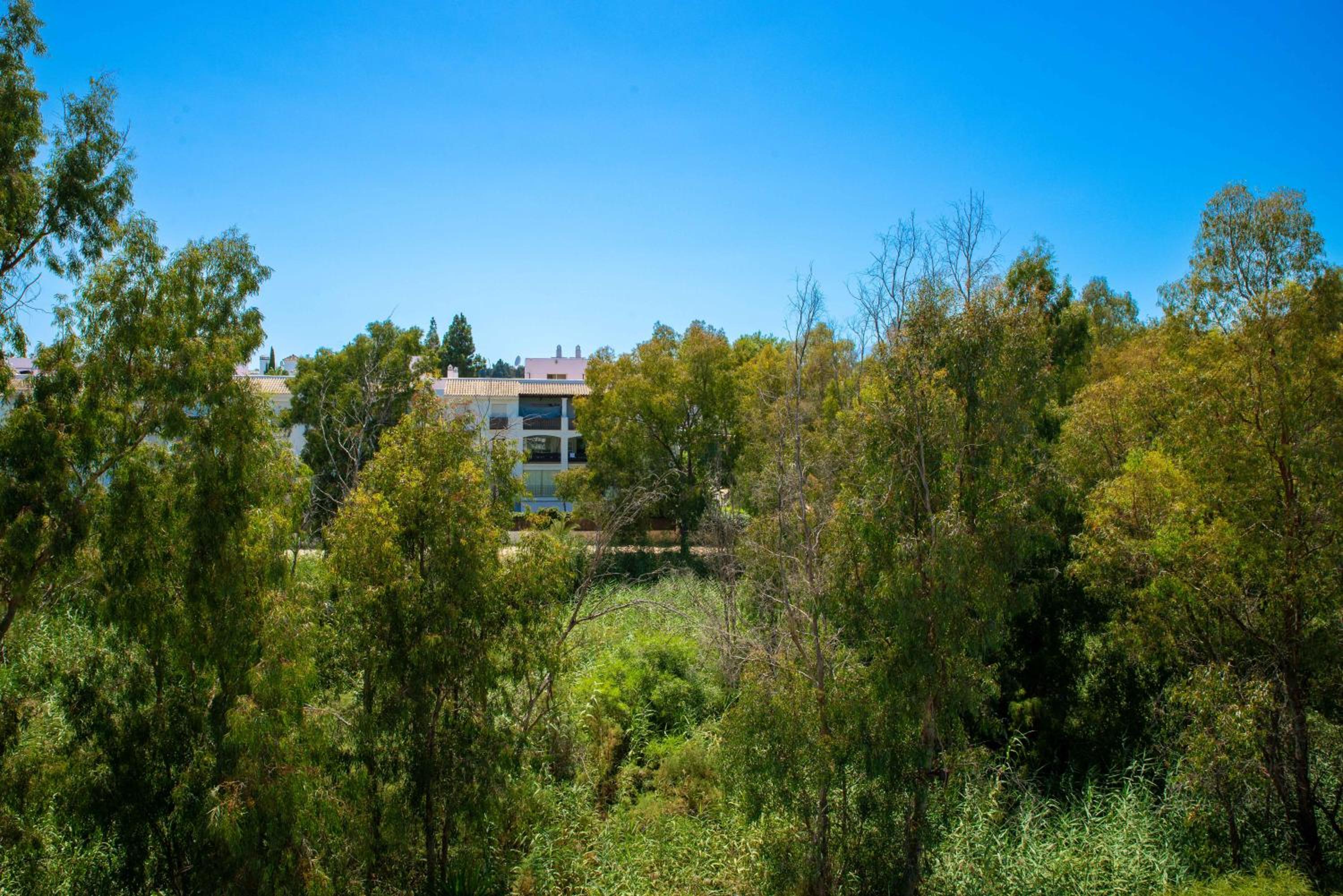 Luminoso loft con piscina en Puerto Banús