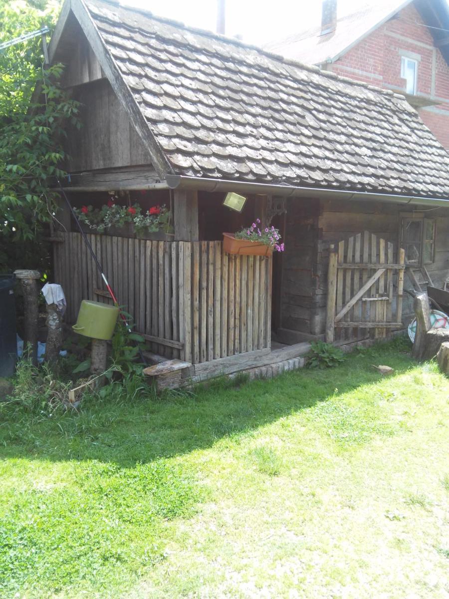 Photo 124