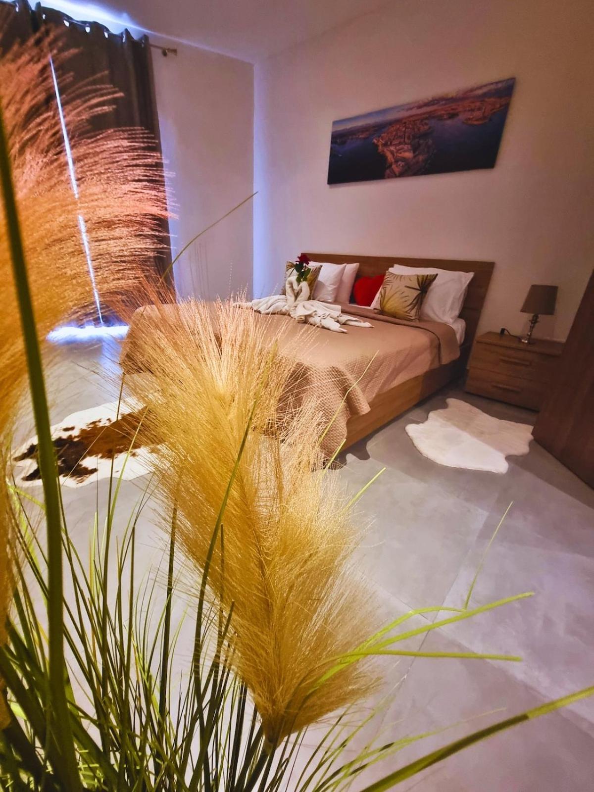 Coast Haven St Julians 12